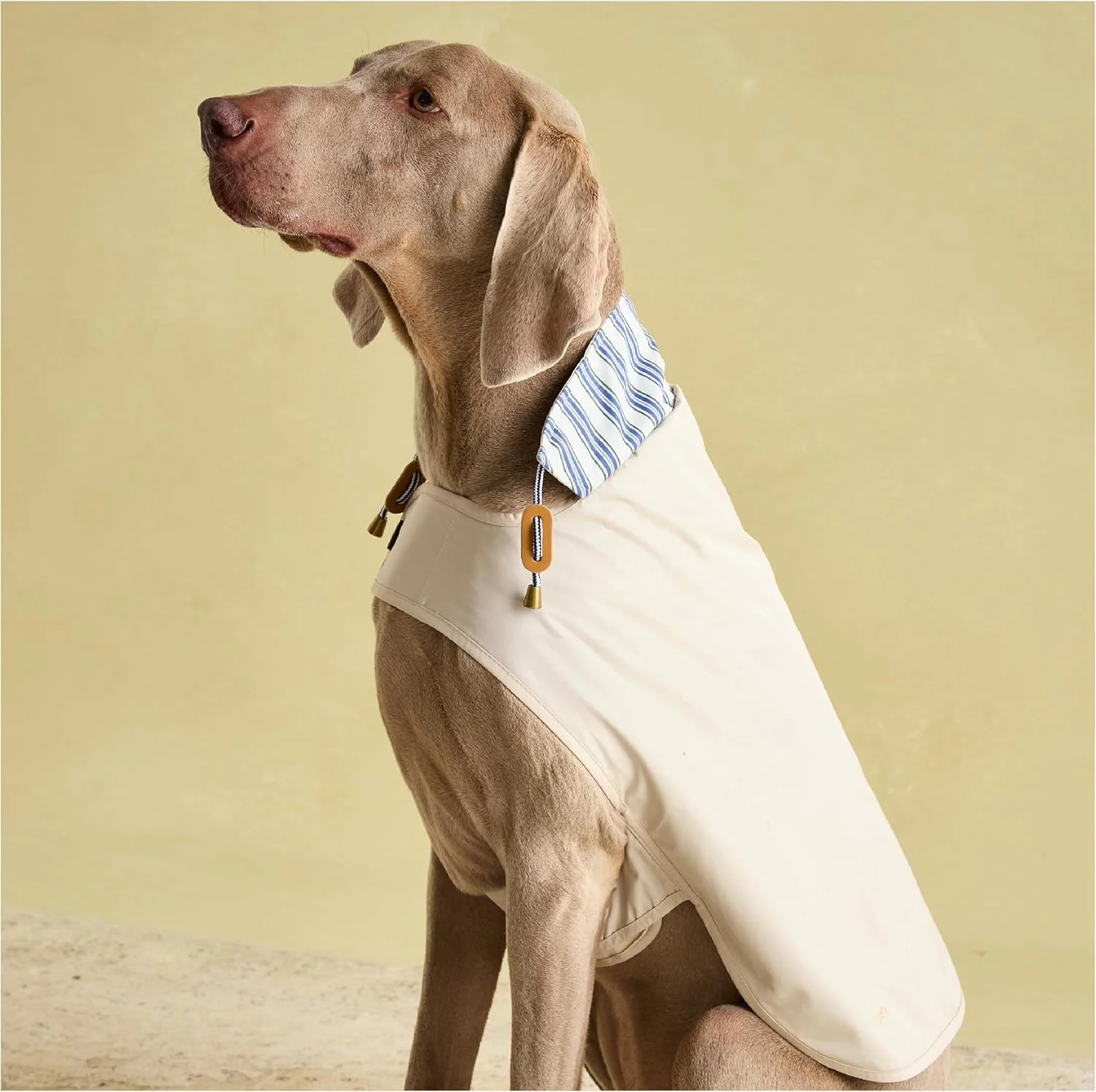 بارانی سگ رزوود جولز سندشل، سایز بزرگ، قابل شستشو، سبک وزن، بارانی/ضد آب برای سگ های بزرگ