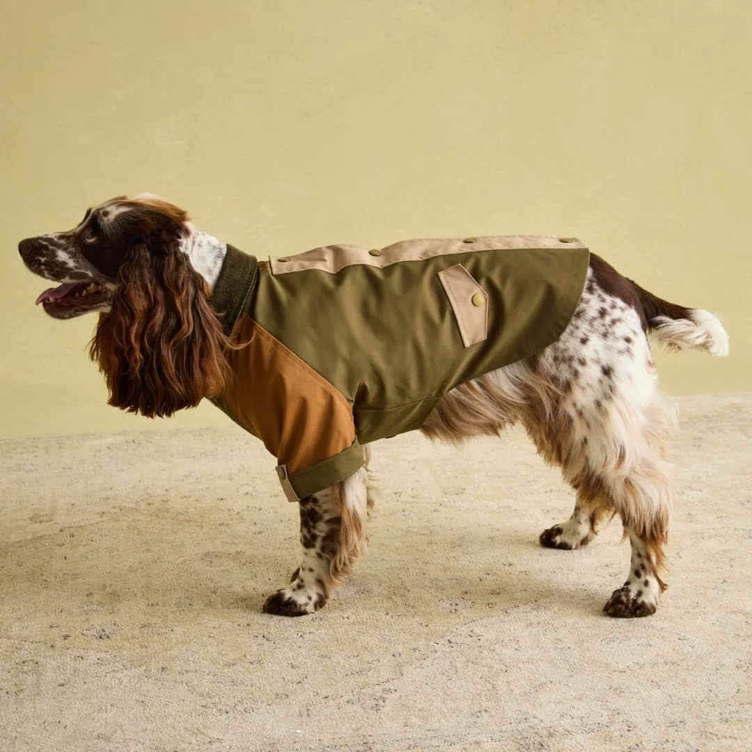 کت سگ رزوود جولز کنینگتون، بزرگ، قابل شستشو، ژاکت سبک وزن، کت سگ مقاوم در برابر باران/آب برای سگ های بزرگ