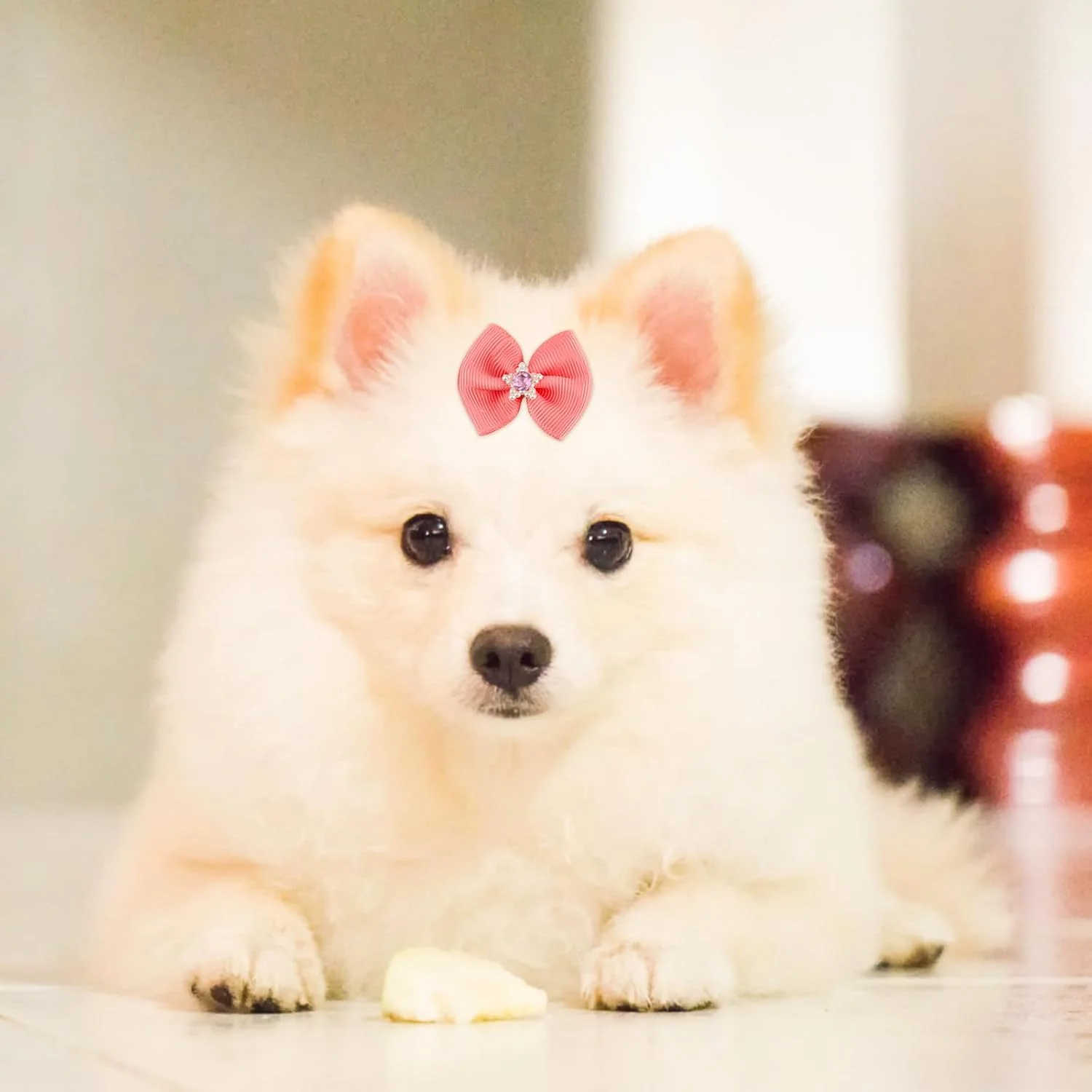 بسته 20 عددی پاپیون موی سگ کوچک با کش مو، پاپیون سگ، مدل های متنوع، پاپیون موی سگ، لوازم جانبی موی سگ زیبا برای آراستگی، برای استفاده روزانه حیوانات خانگی، تعطیلات