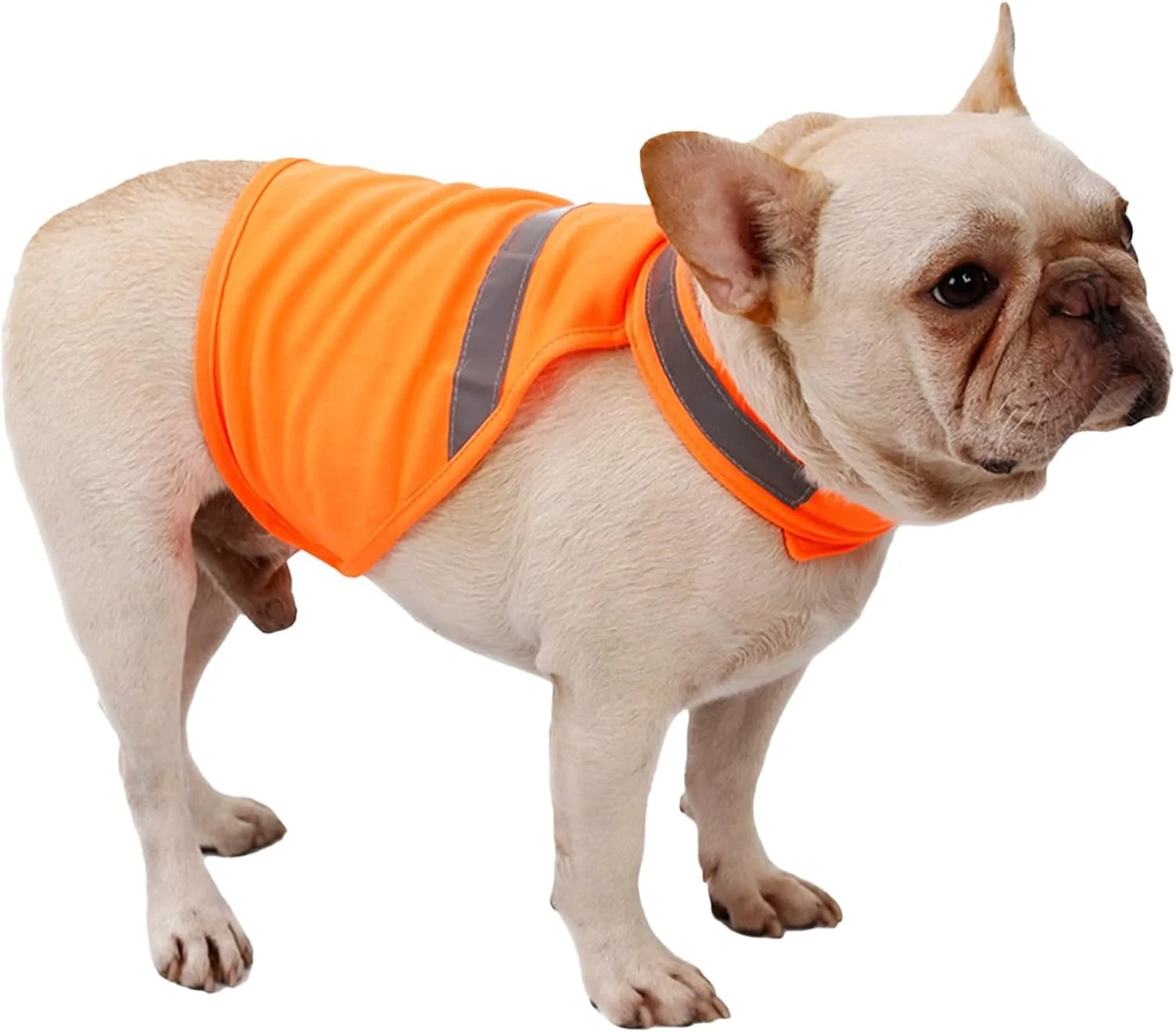 جلیقه ایمنی سگ - جلیقه دید سگ نارنجی قابل تنظیم فلورسنت و تنفسی | لوازم حیوانات خانگی شکار، راحت برای تمرین، فعالیت های خارج از منزل و شکار