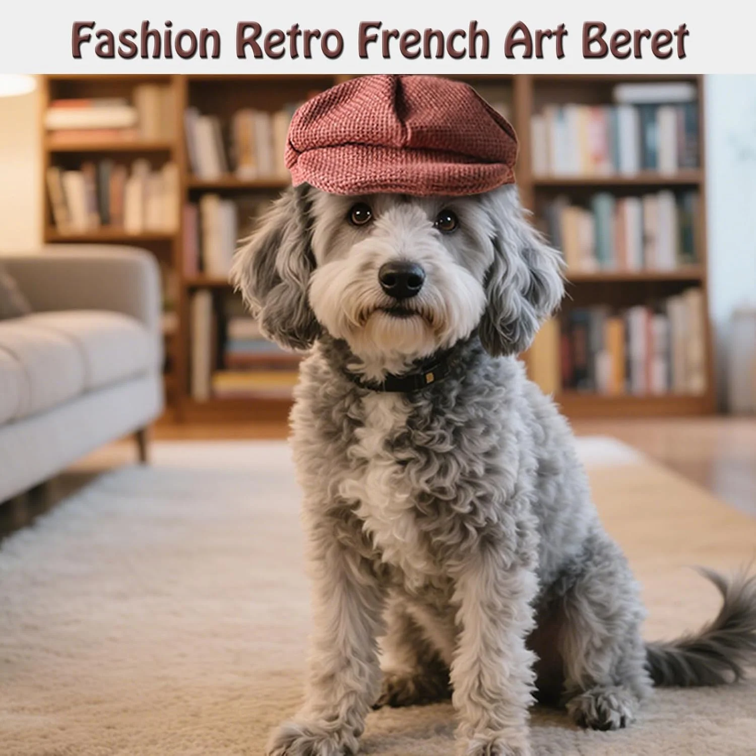 ست سه عددی کلاه بره سگ، کلاه فانتزی حیوانات خانگی، کلاه هنرمند فرانسوی گربه، کلاه بیسبال برای مهمانی، تولد، عکس عروسی (بزرگ، طرح قدیمی) ست سه عددی کلاه بره سگ، کلاه فانتزی حیوانات خانگی، کلاه هنرمند فرانسوی گربه، کلاه بیسبال برای مهمانی، تولد، عکس عروسی (بزرگ، طرح قدیمی)