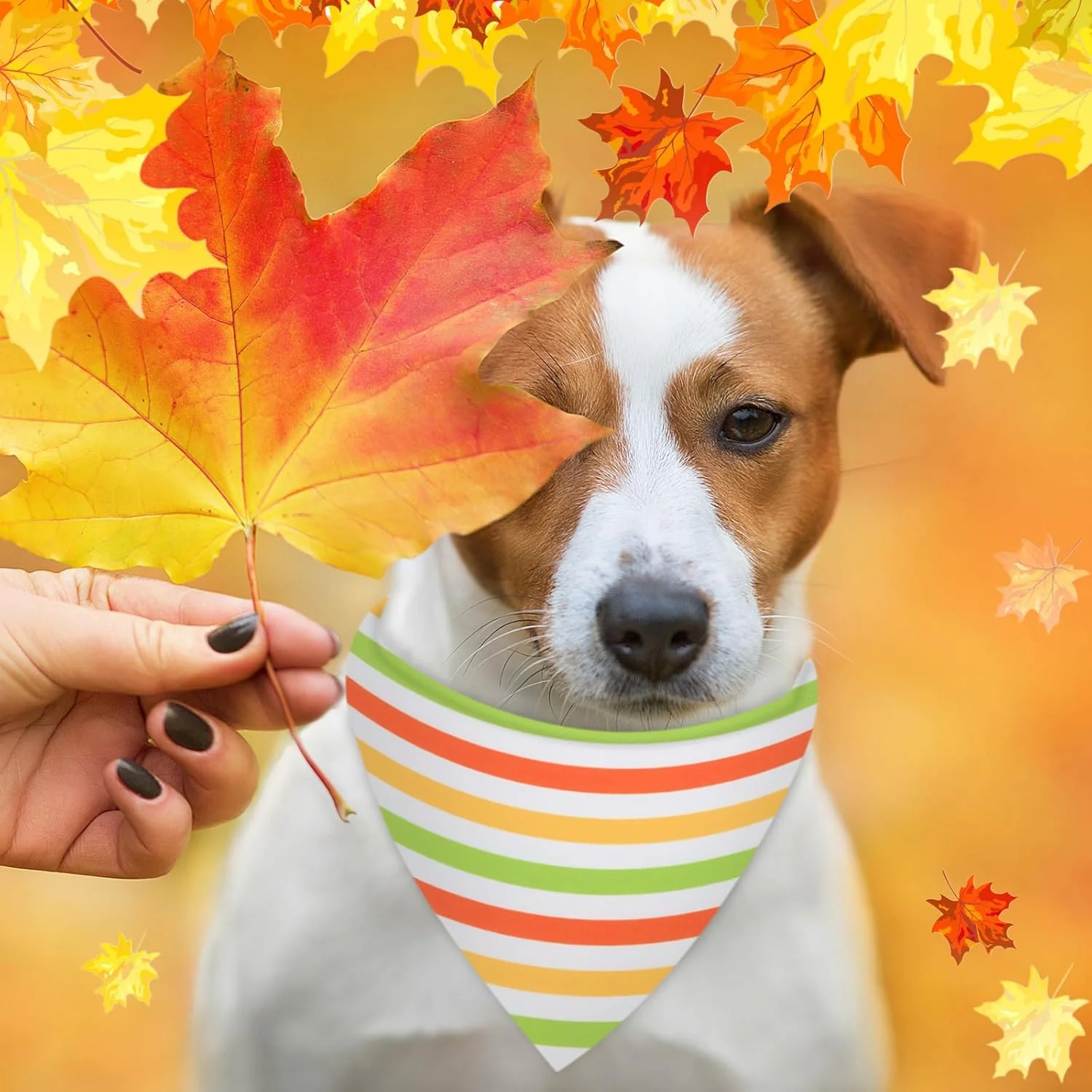 ست 48 عددی دستمال گردن سگ طرح پاییز، دستمال های رنگارنگ پاییزی سگ با طرح های خال خالی، راه راه و موج دار، مناسب برای حیوانات خانگی، سگ ها، مهمانی های پاییزی و لوازم جانبی لباس جشن شکرگزاری