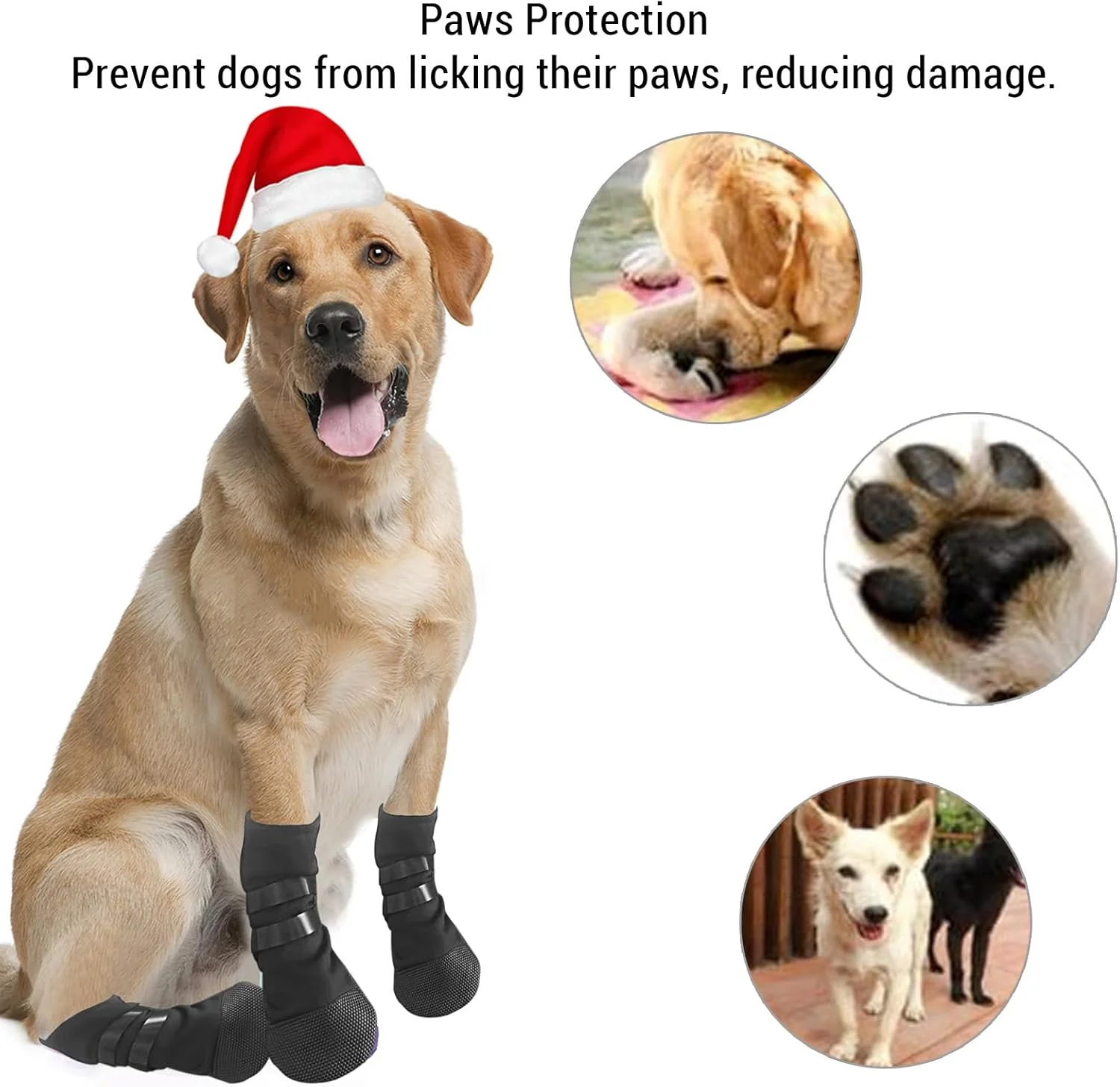 جوراب سگ 4 عددی ضد لغزش نرم مناسب سطوح سخت سایز کوچک جوراب سگ 4 عددی ضد لغزش نرم مناسب سطوح سخت سایز کوچک