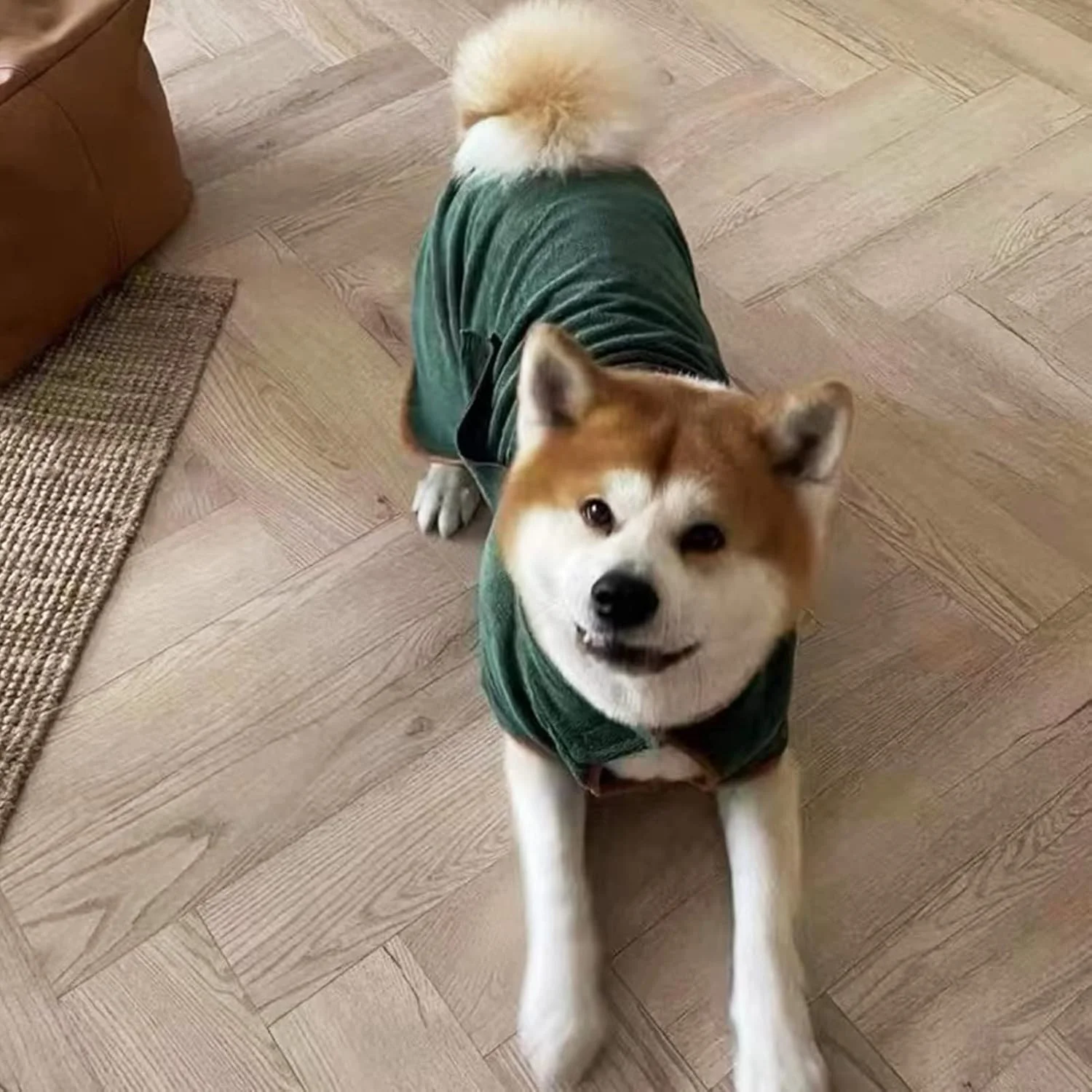 روپوش خشک کننده سگ سوراندی، جنس پشم مرجانی، خشک کننده سریع، فوق العاده جاذب، سایز قابل تنظیم برای سگ های کوچک تا بزرگ (سبز) روپوش خشک کننده سگ سوراندی، جنس پشم مرجانی، خشک کننده سریع، فوق العاده جاذب، سایز قابل تنظیم برای سگ های کوچک تا بزرگ (سبز)