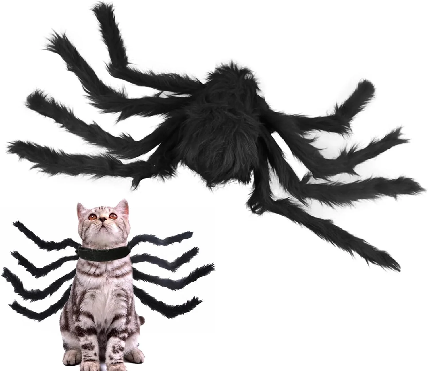 لباس عنکبوتی برای گربه ها - لباس های فانتزی خلاقانه، لباس سگ، لباس هالووین گربه برای سگ ها و گربه های کوچک، تزئینات جشنواره لباس عنکبوتی برای گربه ها - لباس های فانتزی خلاقانه، لباس سگ، لباس هالووین گربه برای سگ ها و گربه های کوچک، تزئینات جشنواره