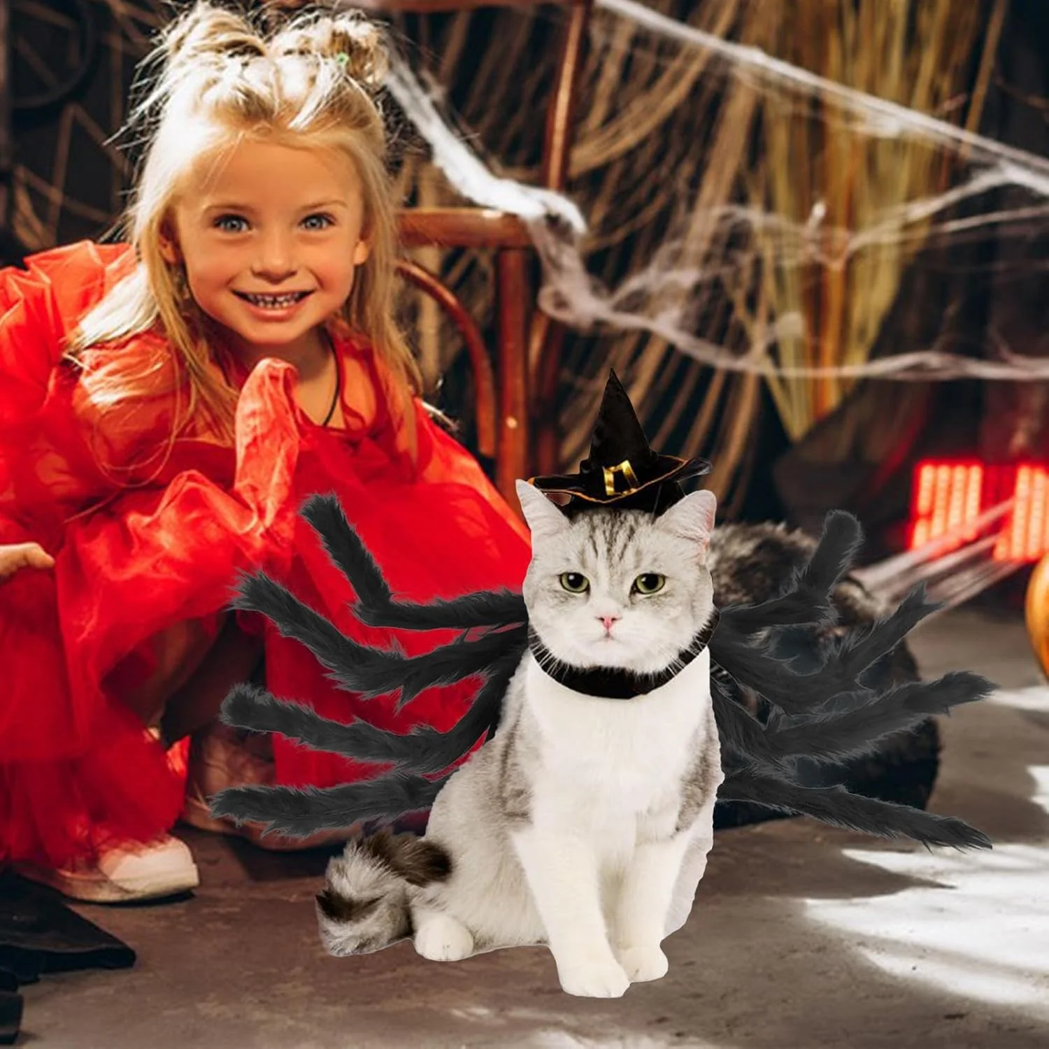 لباس عنکبوتی برای گربه ها - لباس های فانتزی خلاقانه، لباس سگ، لباس هالووین گربه برای سگ ها و گربه های کوچک، تزئینات جشنواره لباس عنکبوتی برای گربه ها - لباس های فانتزی خلاقانه، لباس سگ، لباس هالووین گربه برای سگ ها و گربه های کوچک، تزئینات جشنواره