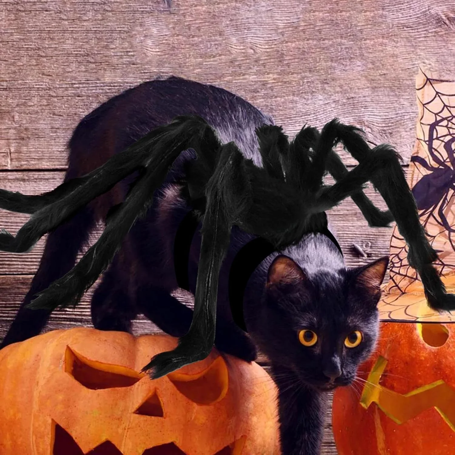لباس عنکبوتی برای گربه ها - لباس های فانتزی خلاقانه، لباس سگ، لباس هالووین گربه برای سگ ها و گربه های کوچک، تزئینات جشنواره لباس عنکبوتی برای گربه ها - لباس های فانتزی خلاقانه، لباس سگ، لباس هالووین گربه برای سگ ها و گربه های کوچک، تزئینات جشنواره