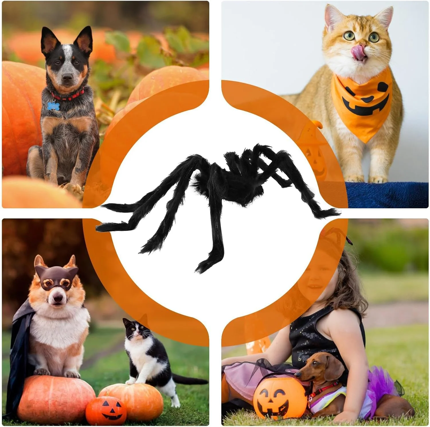 لباس عنکبوتی برای گربه ها - لباس های فانتزی خلاقانه، لباس سگ، لباس هالووین گربه برای سگ ها و گربه های کوچک، تزئینات جشنواره لباس عنکبوتی برای گربه ها - لباس های فانتزی خلاقانه، لباس سگ، لباس هالووین گربه برای سگ ها و گربه های کوچک، تزئینات جشنواره