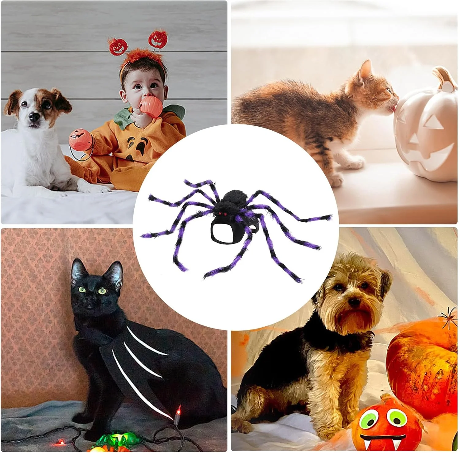 لباس سگ عنکبوتی - لباس عنکبوتی پولیشی | لوازم جانبی لباس پوشیدن لباس هالووین حیوانات خانگی قابل تنظیم، لباس Cosplay برای سگ ها و گربه لباس سگ عنکبوتی - لباس عنکبوتی پولیشی | لوازم جانبی لباس پوشیدن لباس هالووین حیوانات خانگی قابل تنظیم، لباس Cosplay برای سگ ها و گربه