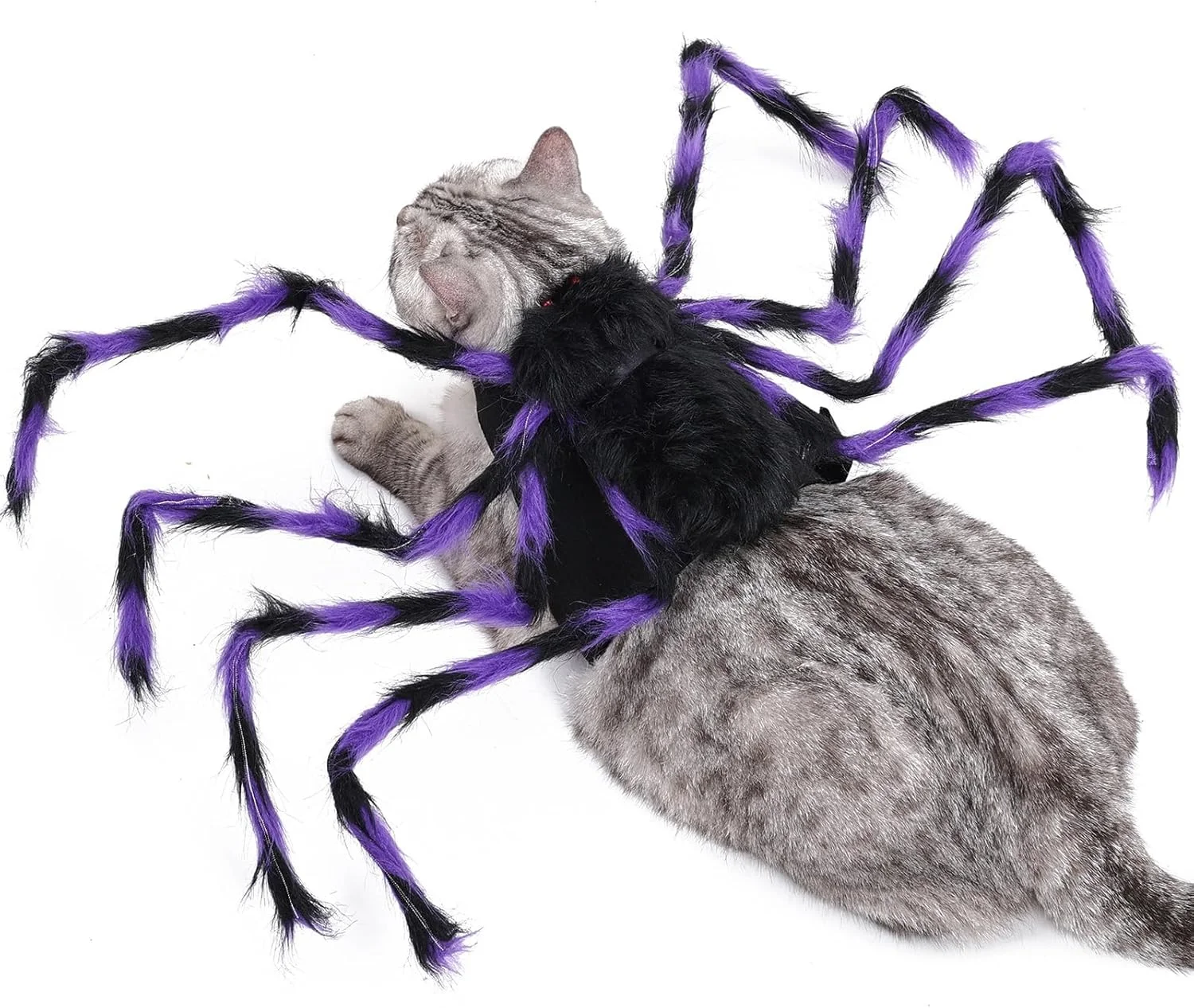 لباس سگ عنکبوتی | لباس حیوانات خانگی با طرح عنکبوت - لباس هالووین قابل تنظیم برای سگ و گربه، لوازم جانبی لباس پوشیدن لباس سگ عنکبوتی | لباس حیوانات خانگی با طرح عنکبوت - لباس هالووین قابل تنظیم برای سگ و گربه، لوازم جانبی لباس پوشیدن