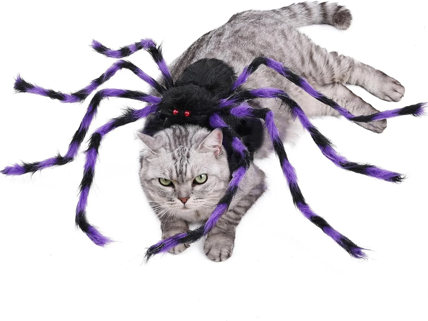 لباس عنکبوتی سگ - لباس حیوانات خانگی عنکبوتی شبیه سازی شده غول پیکر پشمالو - لباس هالووین قابل تنظیم حیوانات خانگی برای سگ ها و گربه ها، لوازم جانبی لباس پوشیدن لباس عنکبوتی سگ - لباس حیوانات خانگی عنکبوتی شبیه سازی شده غول پیکر پشمالو - لباس هالووین قابل تنظیم حیوانات خانگی برای سگ ها و گربه ها، لوازم جانبی لباس پوشیدن