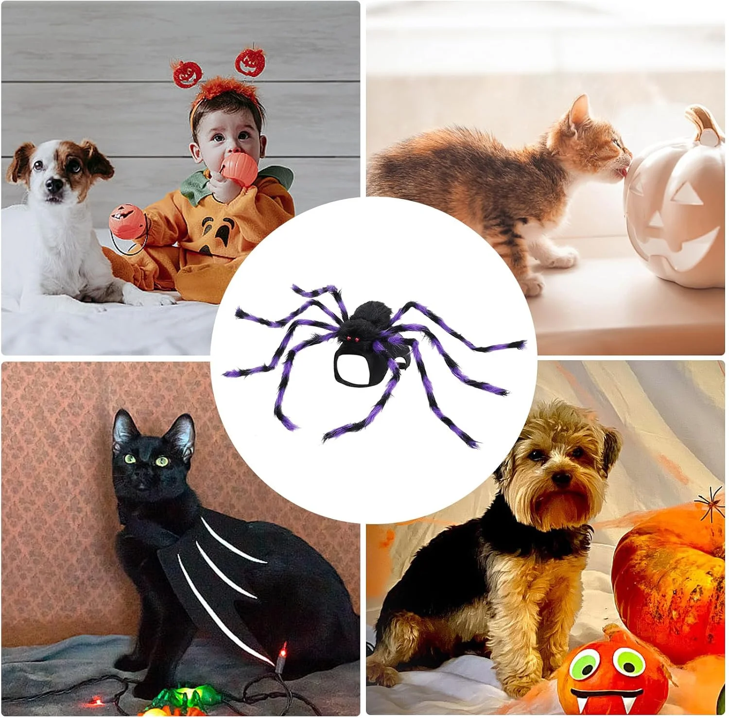 لباس عنکبوتی سگ | لباس نقش آفرینی عنکبوتی - لباس قابل تنظیم برای هالووین، تزئینات جشنواره لباس عنکبوتی سگ | لباس نقش آفرینی عنکبوتی - لباس قابل تنظیم برای هالووین، تزئینات جشنواره