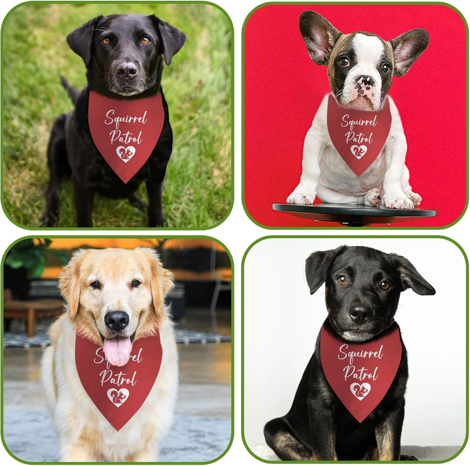 دستمال گردن سگ طرح گشت سنجاب، مناسب سگ های بزرگ، متوسط و کوچک، لوازم جانبی سنجاب، روسری مثلثی حیوانات خانگی، هدیه خنده دار لباس سگ گشت پنجه، لوازم جانبی روسری حیوانات خانگی، هدیه توله سگ کریسمس دستمال گردن سگ طرح گشت سنجاب، مناسب سگ های بزرگ، متوسط و کوچک، لوازم جانبی سنجاب، روسری مثلثی حیوانات خانگی، هدیه خنده دار لباس سگ گشت پنجه، لوازم جانبی روسری حیوانات خانگی، هدیه توله سگ کریسمس