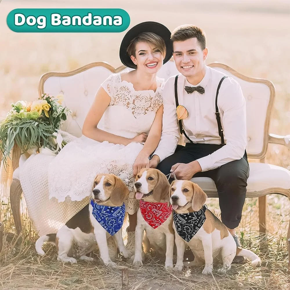 دستمال گردن سگ طرح بهاری، 4 عدد دستمال سه گوش، لوازم جانبی قابل تنظیم، دستمال گردن پنبه ای نرم و زیبا برای حیوانات خانگی، دستمال سر روزانه قابل شستشو، هدیه ای راحت برای سگ های کوچک، متوسط و بزرگ دخترانه و پسرانه دستمال گردن سگ طرح بهاری، 4 عدد دستمال سه گوش، لوازم جانبی قابل تنظیم، دستمال گردن پنبه ای نرم و زیبا برای حیوانات خانگی، دستمال سر روزانه قابل شستشو، هدیه ای راحت برای سگ های کوچک، متوسط و بزرگ دخترانه و پسرانه