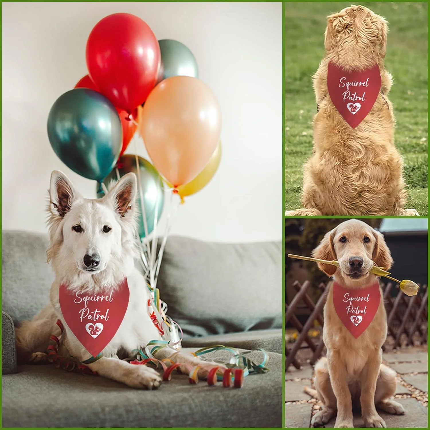 دستمال گردن سگ طرح گشت سنجاب، مناسب سگ های بزرگ، متوسط و کوچک، لوازم جانبی سنجاب، روسری مثلثی حیوانات خانگی، هدیه خنده دار لباس سگ گشت پنجه، لوازم جانبی روسری حیوانات خانگی، هدیه توله سگ کریسمس دستمال گردن سگ طرح گشت سنجاب، مناسب سگ های بزرگ، متوسط و کوچک، لوازم جانبی سنجاب، روسری مثلثی حیوانات خانگی، هدیه خنده دار لباس سگ گشت پنجه، لوازم جانبی روسری حیوانات خانگی، هدیه توله سگ کریسمس