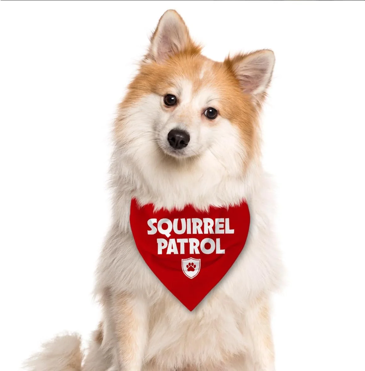 دستمال گردن سگ طرح گشت سنجاب، دستمال سر سگ بامزه و زیبا، دستمال گردن راحت سگ برای سگ های کوچک، متوسط و بزرگ، لوازم جانبی حیوانات خانگی هدیه برای دوستداران سگ دستمال گردن سگ طرح گشت سنجاب، دستمال سر سگ بامزه و زیبا، دستمال گردن راحت سگ برای سگ های کوچک، متوسط و بزرگ، لوازم جانبی حیوانات خانگی هدیه برای دوستداران سگ