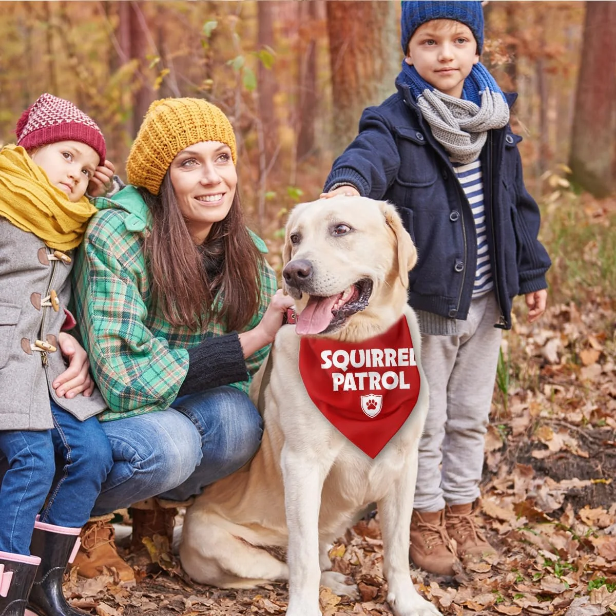 دستمال گردن سگ طرح گشت سنجاب، دستمال سر سگ بامزه و زیبا، دستمال گردن راحت سگ برای سگ های کوچک، متوسط و بزرگ، لوازم جانبی حیوانات خانگی هدیه برای دوستداران سگ دستمال گردن سگ طرح گشت سنجاب، دستمال سر سگ بامزه و زیبا، دستمال گردن راحت سگ برای سگ های کوچک، متوسط و بزرگ، لوازم جانبی حیوانات خانگی هدیه برای دوستداران سگ