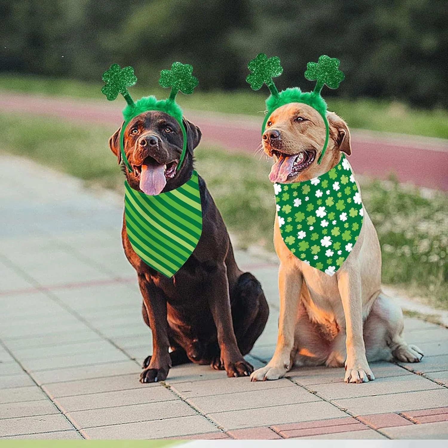دستمال گردن سگ طرح روز سنت پاتریک، بسته 2 عددی، روسری مثلثی دو طرفه طرح شبدر سبز برای سگ های پسر و دختر، پارچه بادوام عالی، دستمال گردن تعطیلات برای سگ های متوسط و بزرگ (راه راه سبز، بزرگ) دستمال گردن سگ طرح روز سنت پاتریک، بسته 2 عددی، روسری مثلثی دو طرفه طرح شبدر سبز برای سگ های پسر و دختر، پارچه بادوام عالی، دستمال گردن تعطیلات برای سگ های متوسط و بزرگ (راه راه سبز، بزرگ)