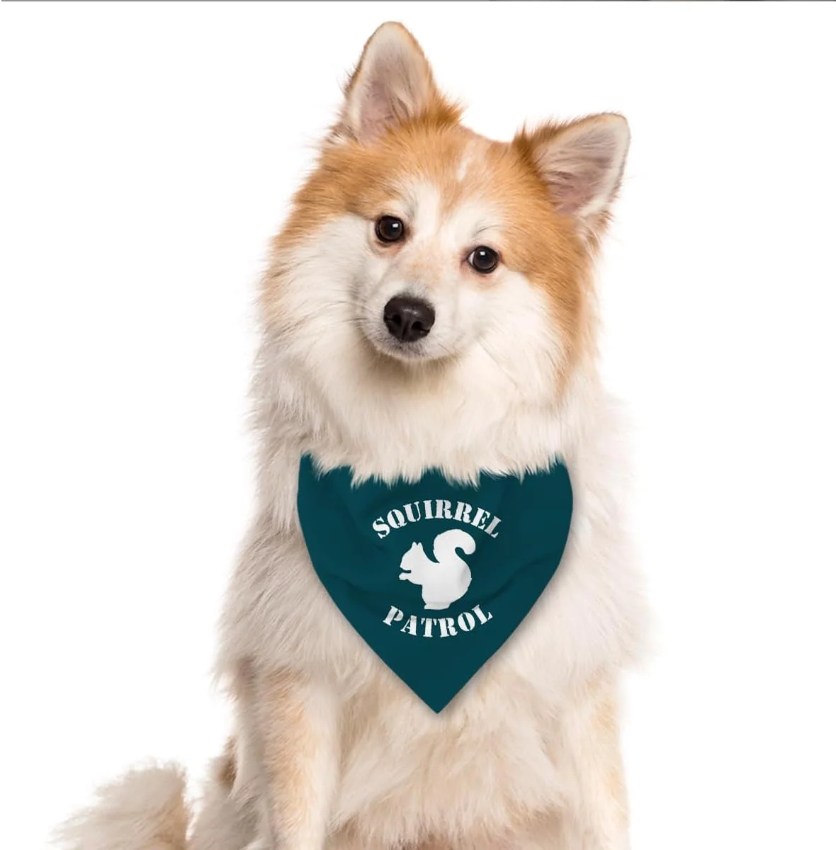 دستمال گردن سگ طرح گشت سنجاب، دستمال گردن خنده دار و بامزه برای سگ های خانگی، روسری راحت برای سگ های پسر یا دختر، ایده آل برای هدیه به صاحبان سگ دستمال گردن سگ طرح گشت سنجاب، دستمال گردن خنده دار و بامزه برای سگ های خانگی، روسری راحت برای سگ های پسر یا دختر، ایده آل برای هدیه به صاحبان سگ