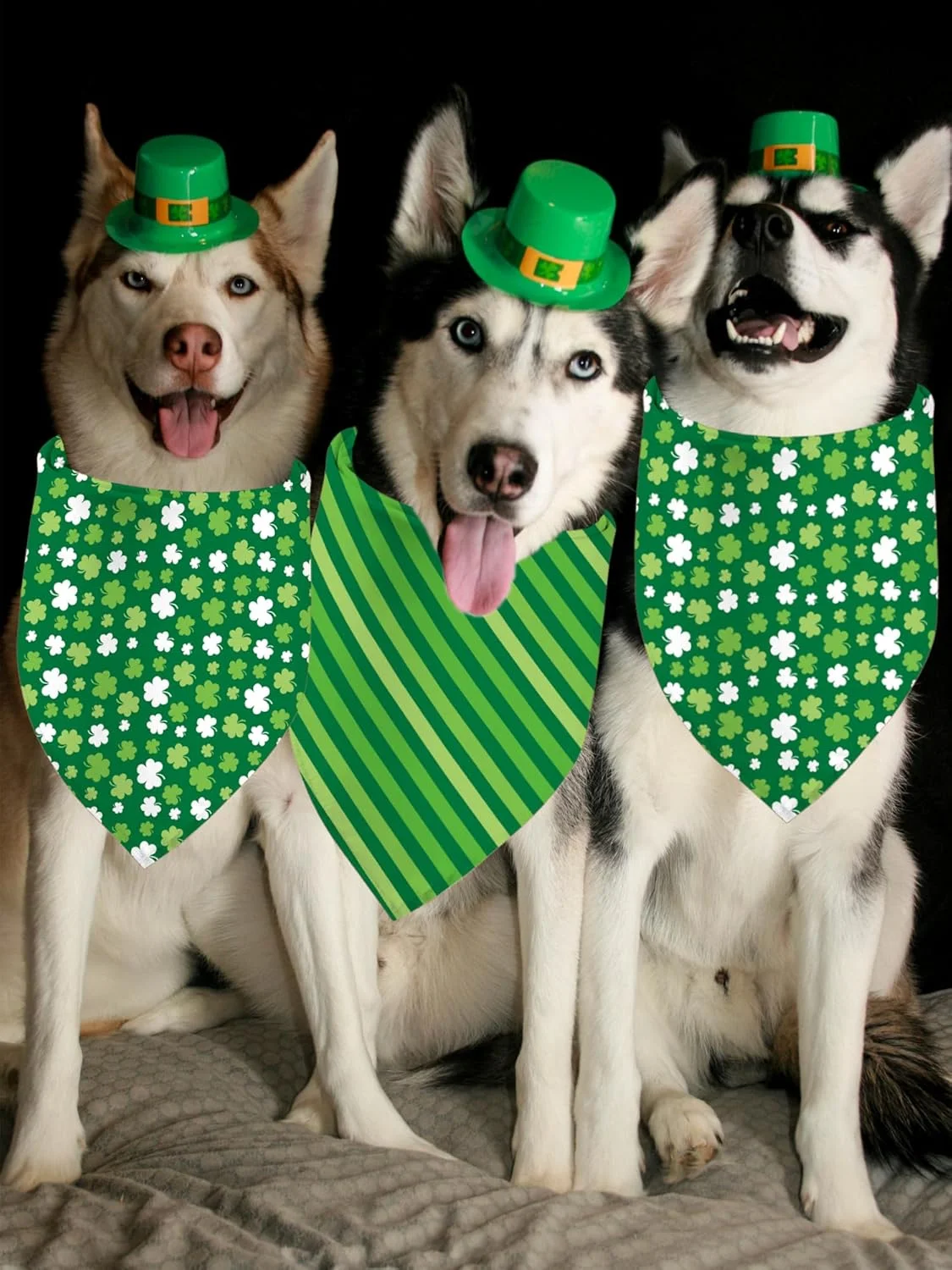 دستمال گردن سگ طرح روز سنت پاتریک، بسته 2 عددی، روسری مثلثی دو طرفه طرح شبدر سبز برای سگ های پسر و دختر، پارچه بادوام عالی، دستمال گردن تعطیلات برای سگ های متوسط و بزرگ (راه راه سبز، بزرگ) دستمال گردن سگ طرح روز سنت پاتریک، بسته 2 عددی، روسری مثلثی دو طرفه طرح شبدر سبز برای سگ های پسر و دختر، پارچه بادوام عالی، دستمال گردن تعطیلات برای سگ های متوسط و بزرگ (راه راه سبز، بزرگ)