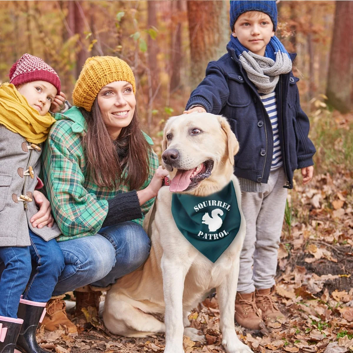 دستمال گردن سگ طرح گشت سنجاب، دستمال گردن خنده دار و بامزه برای سگ های خانگی، روسری راحت برای سگ های پسر یا دختر، ایده آل برای هدیه به صاحبان سگ دستمال گردن سگ طرح گشت سنجاب، دستمال گردن خنده دار و بامزه برای سگ های خانگی، روسری راحت برای سگ های پسر یا دختر، ایده آل برای هدیه به صاحبان سگ