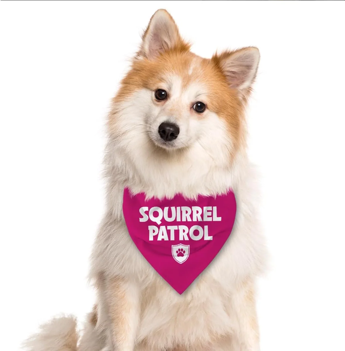 دستمال گردن سگ طرح گشت سنجاب، روسری خنده دار و بامزه سگ، دستمال پارچه ای لوازم جانبی سینه بند برای سگ های کوچک متوسط بزرگ، هدیه برای دوستداران سگ دستمال گردن سگ طرح گشت سنجاب، روسری خنده دار و بامزه سگ، دستمال پارچه ای لوازم جانبی سینه بند برای سگ های کوچک متوسط بزرگ، هدیه برای دوستداران سگ