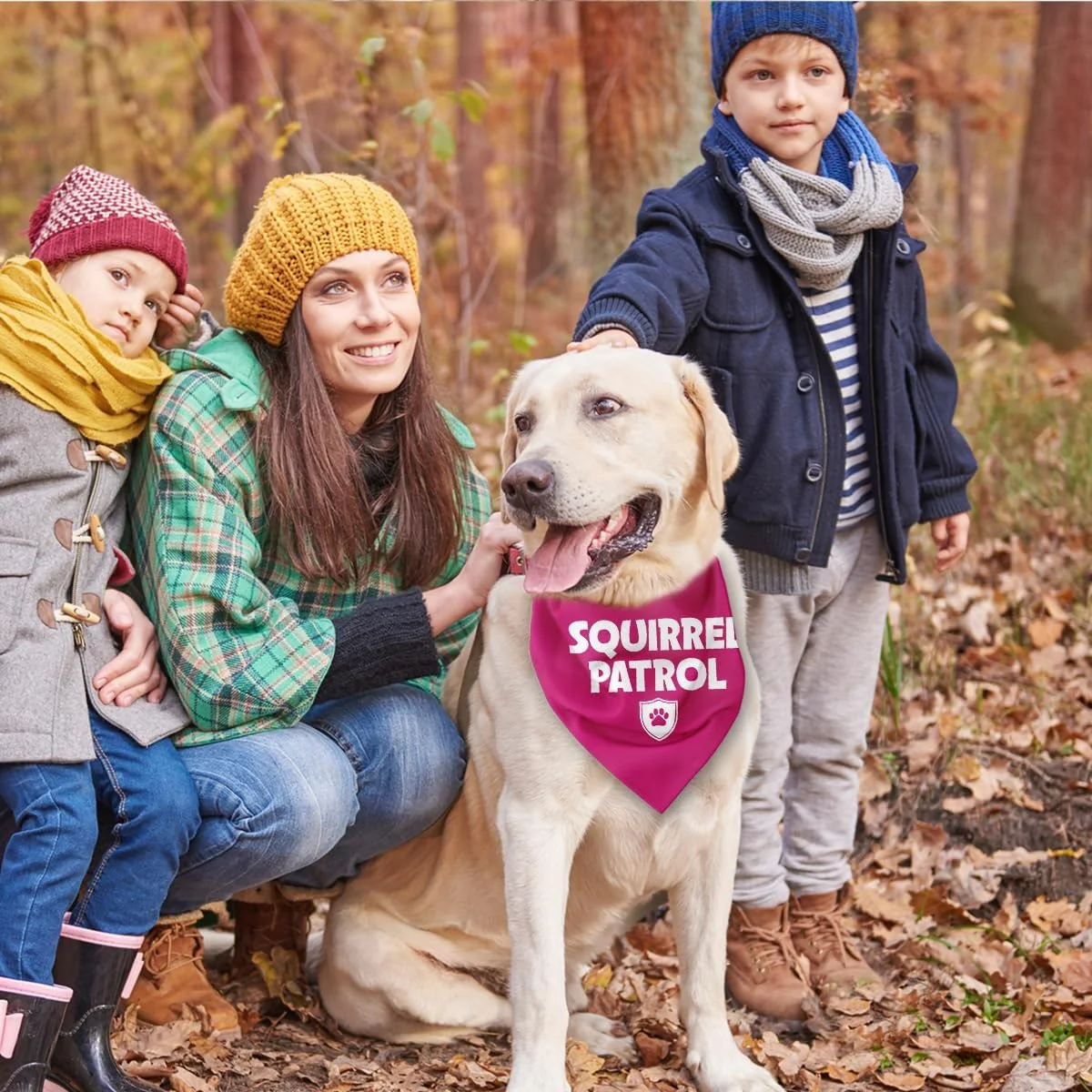 دستمال گردن سگ طرح گشت سنجاب، روسری خنده دار و بامزه سگ، دستمال پارچه ای لوازم جانبی سینه بند برای سگ های کوچک متوسط بزرگ، هدیه برای دوستداران سگ دستمال گردن سگ طرح گشت سنجاب، روسری خنده دار و بامزه سگ، دستمال پارچه ای لوازم جانبی سینه بند برای سگ های کوچک متوسط بزرگ، هدیه برای دوستداران سگ