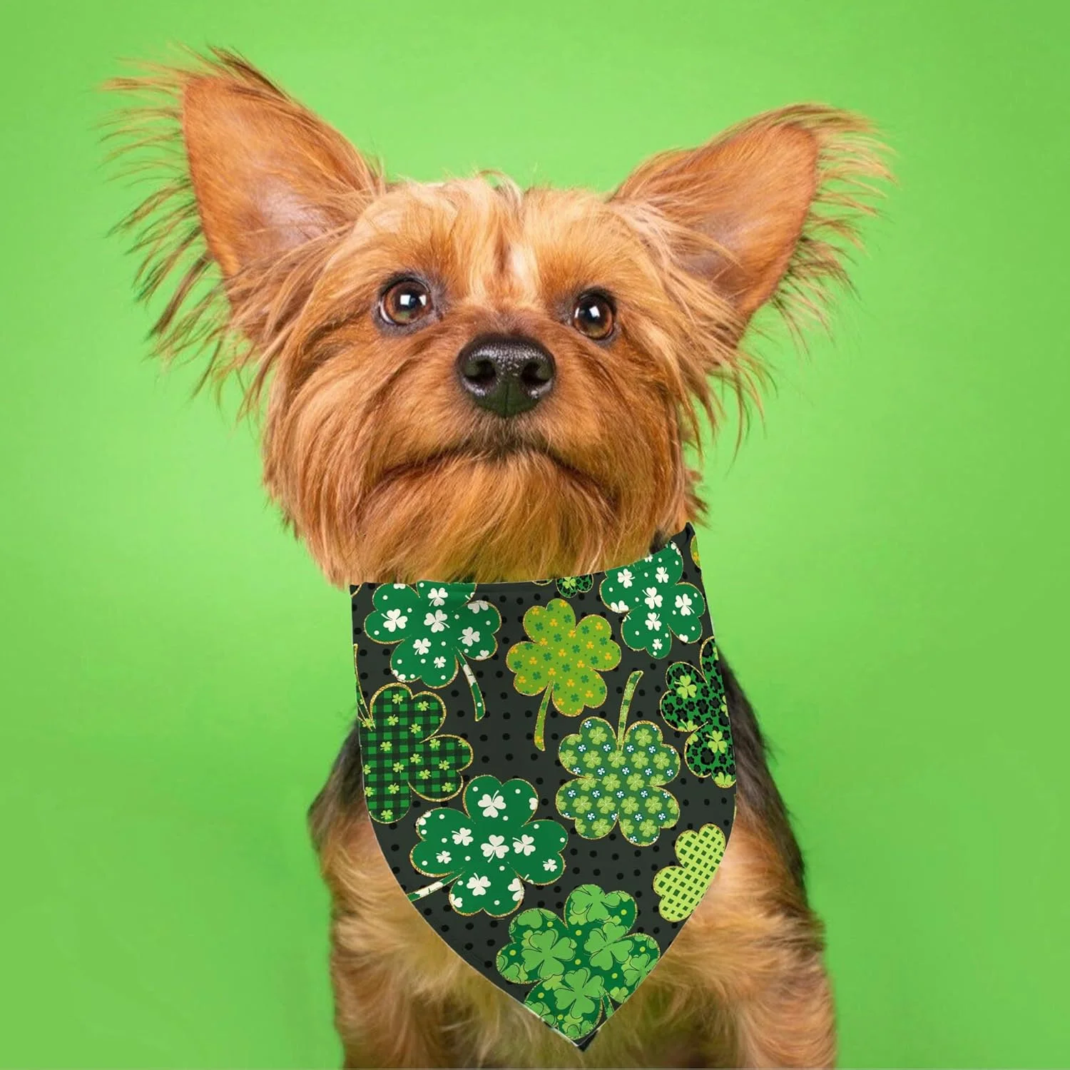دستمال گردن سگ طرح روز سنت پاتریک، شال گردن سگ شبدر چمن سبز برای سگ های پسر و دختر، روسری حیوانات خانگی برای سگ های کوچک، متوسط و بزرگ (روز سنت پاتریک، یک سایز) دستمال گردن سگ طرح روز سنت پاتریک، شال گردن سگ شبدر چمن سبز برای سگ های پسر و دختر، روسری حیوانات خانگی برای سگ های کوچک، متوسط و بزرگ (روز سنت پاتریک، یک سایز)