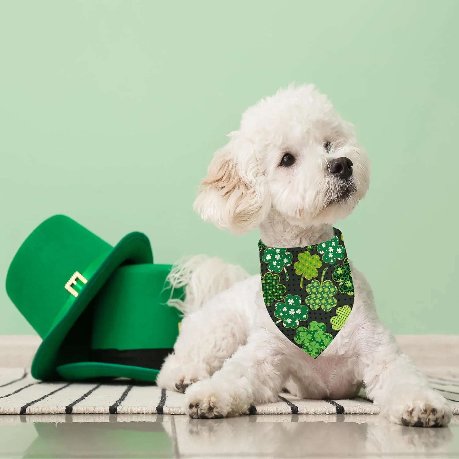 دستمال گردن سگ طرح روز سنت پاتریک، شال گردن سگ شبدر چمن سبز برای سگ های پسر و دختر، روسری حیوانات خانگی برای سگ های کوچک، متوسط و بزرگ (روز سنت پاتریک، یک سایز) دستمال گردن سگ طرح روز سنت پاتریک، شال گردن سگ شبدر چمن سبز برای سگ های پسر و دختر، روسری حیوانات خانگی برای سگ های کوچک، متوسط و بزرگ (روز سنت پاتریک، یک سایز)