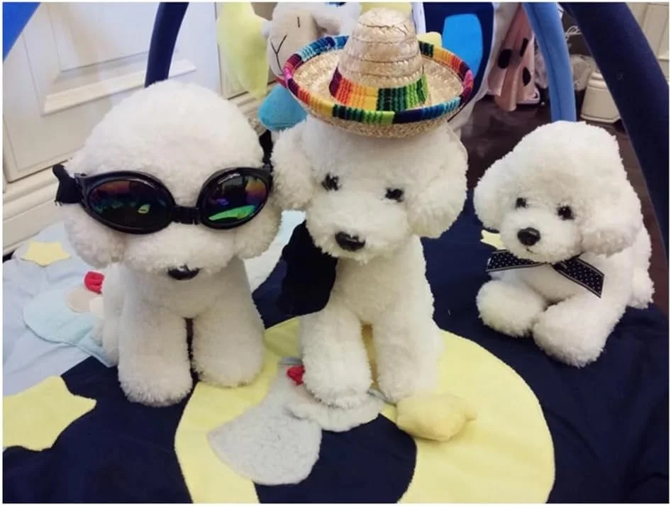 کلاه حصیری برای سگ/گربه کوچک، کلاه های مینیاتوری مکزیکی، سبک وزن، لباس هالووین حیوانات خانگی