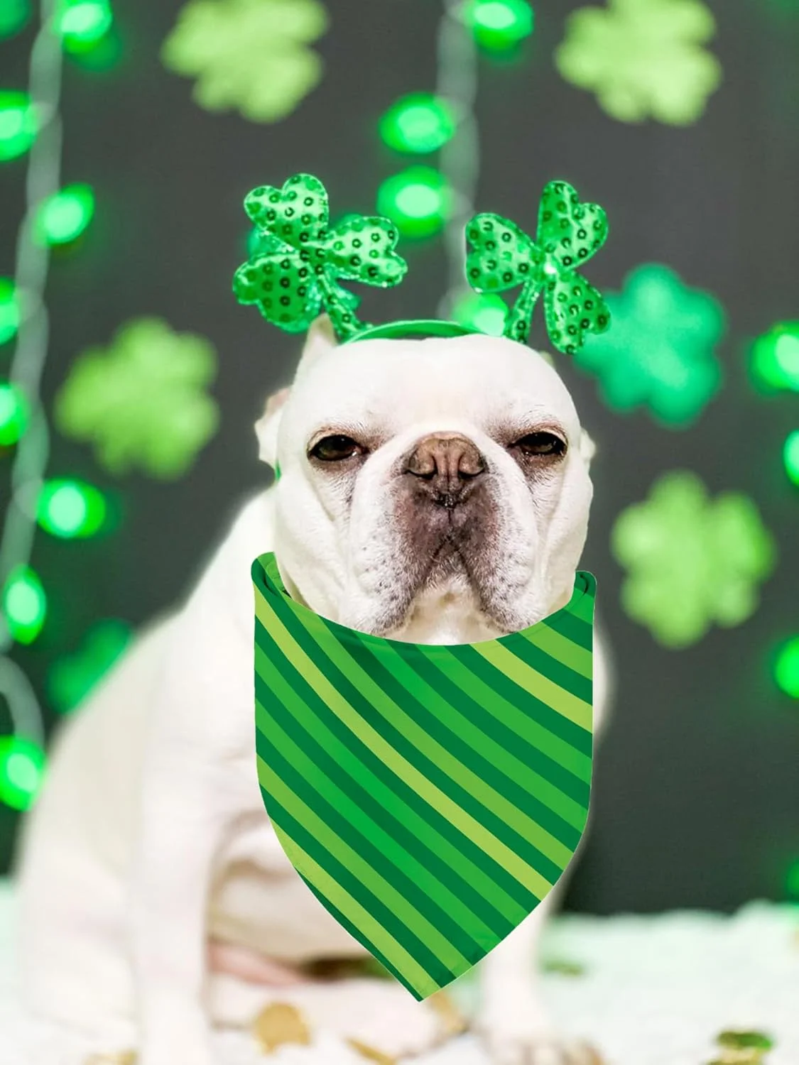 دستمال گردن سگ طرح روز سنت پاتریک، بسته 2 عددی، روسری مثلثی دو طرفه طرح شبدر سبز برای سگ های پسر و دختر، پارچه بادوام عالی، دستمال گردن تعطیلات برای سگ های کوچک و متوسط (راه راه سبز، کوچک) دستمال گردن سگ طرح روز سنت پاتریک، بسته 2 عددی، روسری مثلثی دو طرفه طرح شبدر سبز برای سگ های پسر و دختر، پارچه بادوام عالی، دستمال گردن تعطیلات برای سگ های کوچک و متوسط (راه راه سبز، کوچک)