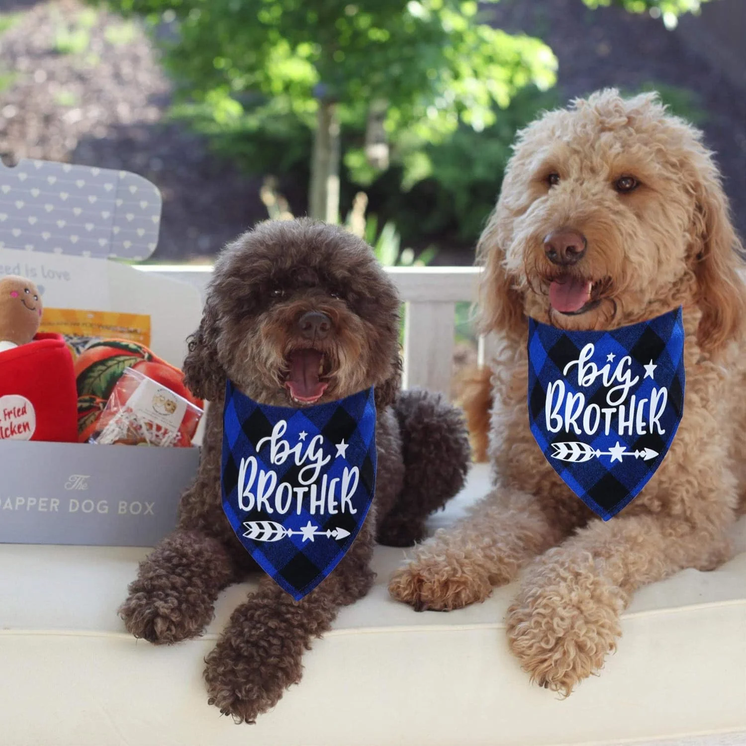 دستمال گردن سگ چهارخانه طرح برادر بزرگ، دستمال گردن سگ چهارخانه اعلام بارداری، اکسسوری شال حیوانات خانگی، شال گردن حیوانات خانگی برای سگ ها (آبی) دستمال گردن سگ چهارخانه طرح برادر بزرگ، دستمال گردن سگ چهارخانه اعلام بارداری، اکسسوری شال حیوانات خانگی، شال گردن حیوانات خانگی برای سگ ها (آبی)