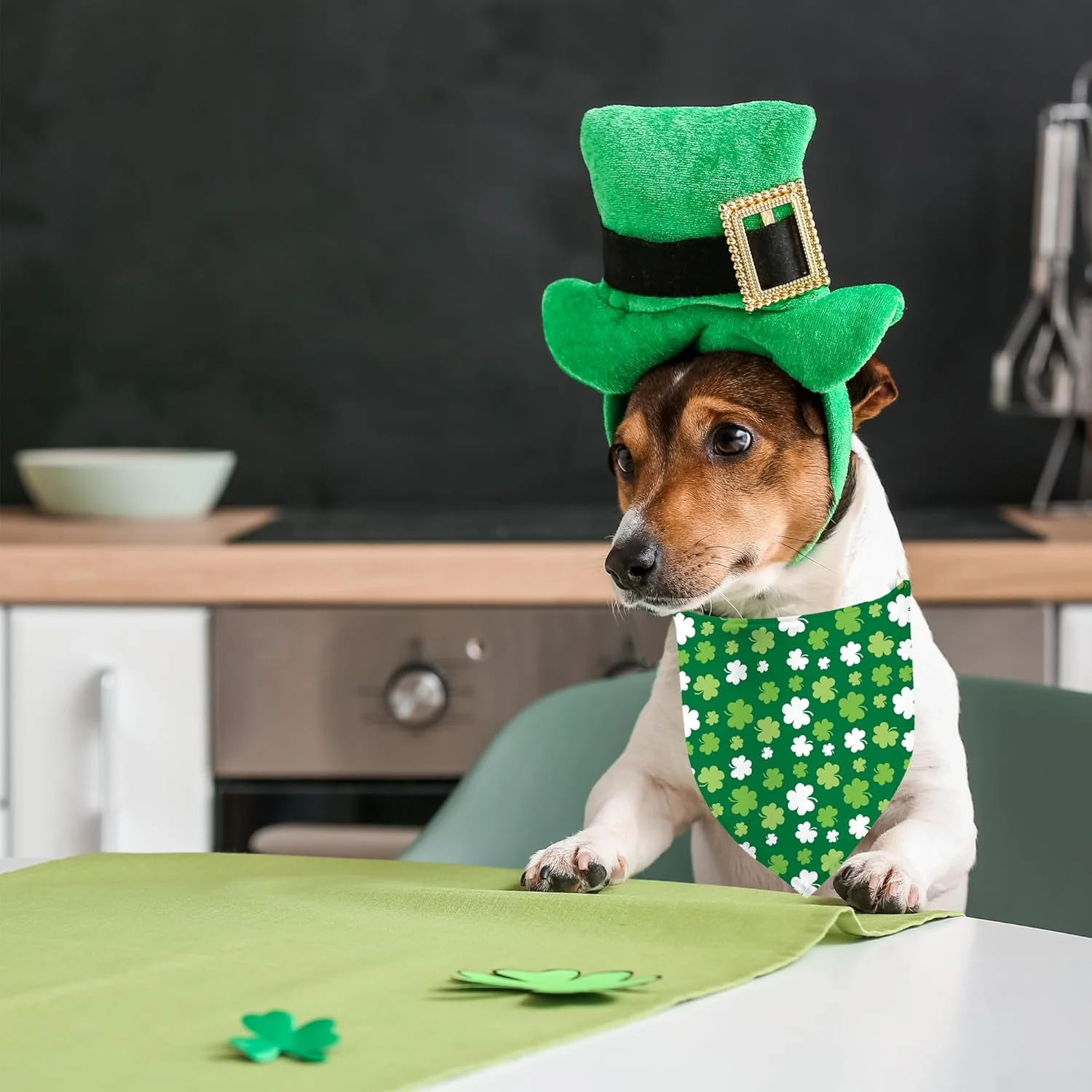 دستمال گردن سگ طرح روز سنت پاتریک، بسته 2 عددی، روسری مثلثی دو طرفه طرح شبدر سبز برای سگ های پسر و دختر، پارچه بادوام عالی، دستمال گردن تعطیلات برای سگ های کوچک و متوسط (راه راه سبز، کوچک) دستمال گردن سگ طرح روز سنت پاتریک، بسته 2 عددی، روسری مثلثی دو طرفه طرح شبدر سبز برای سگ های پسر و دختر، پارچه بادوام عالی، دستمال گردن تعطیلات برای سگ های کوچک و متوسط (راه راه سبز، کوچک)