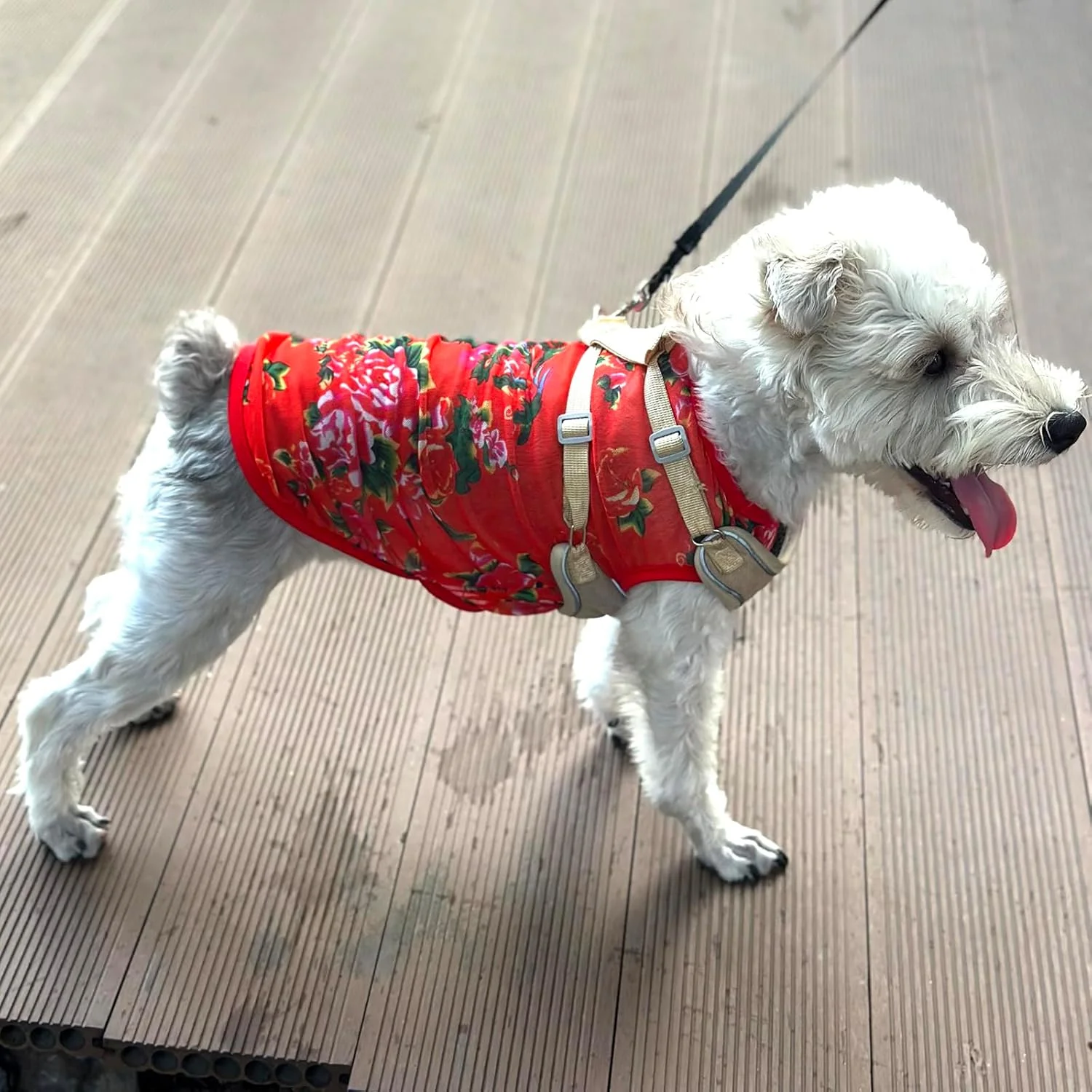 پیراهن سگ بزرگ تابستانی با طرح گل، لباس تنفسی بدون آستین حیوانات خانگی برای پیاده روی روزانه و مسافرت در فضای باز، تاپ توری برای سگ ها و گربه ها، قرمز، XL