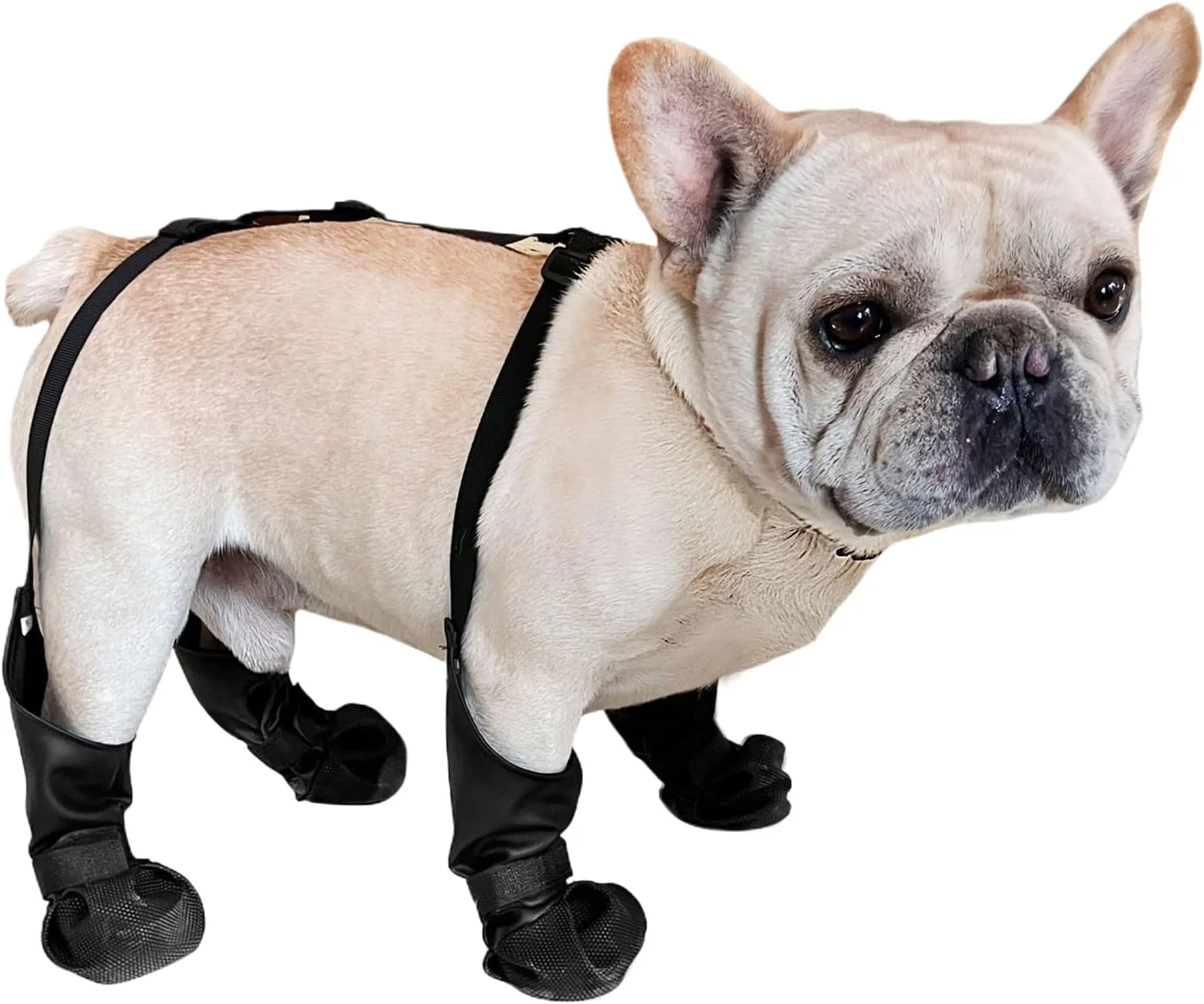 پاپوش سگ | پاپوش جورابی سگ با بند و هارنس، محافظ پنجه ضد آب و ضد آلودگی، ساق پوش حیوانات خانگی برای پیاده روی، مسافرت و فعالیت های خارج از منزل، مناسب برای نژادهای کوچک تا بزرگ