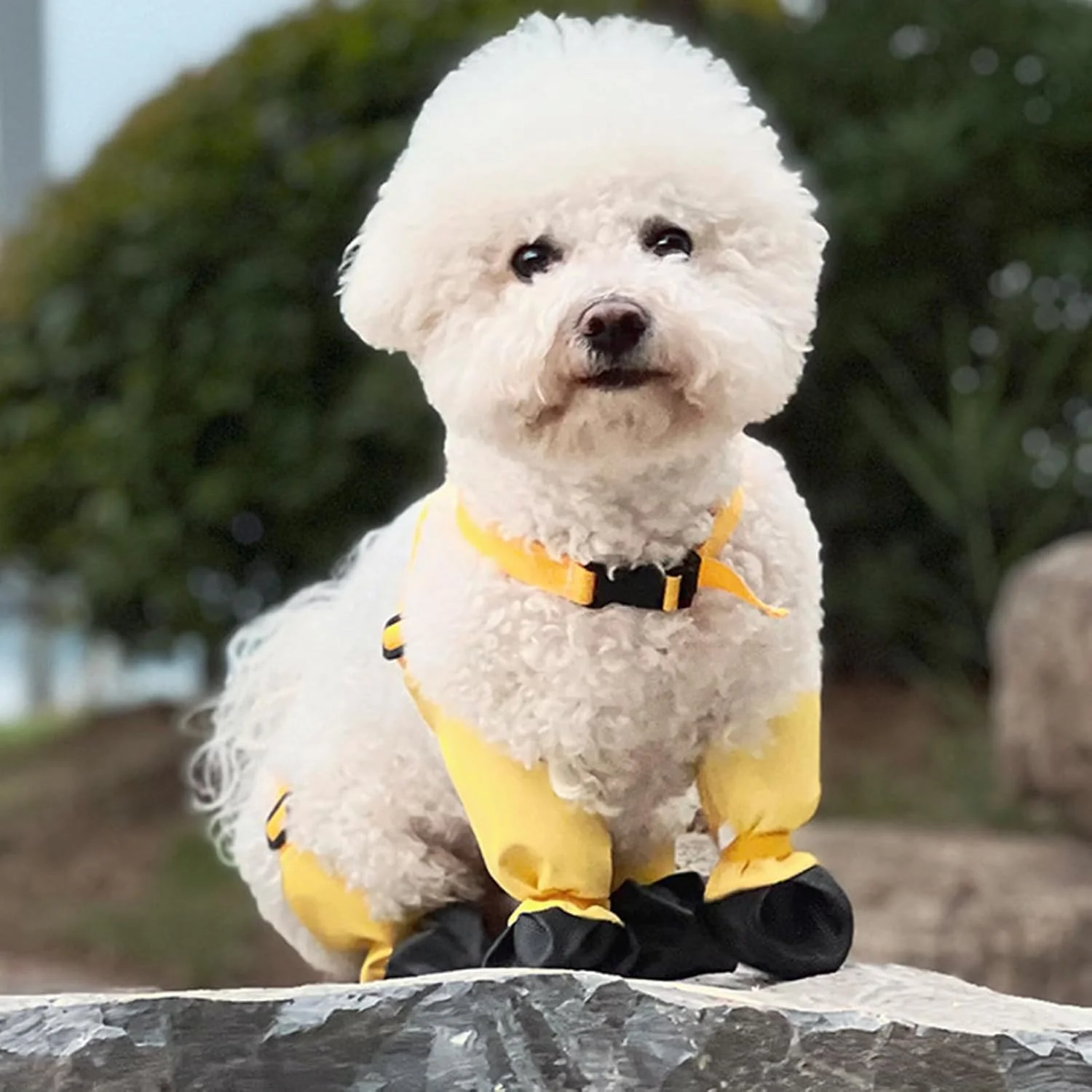 کفش ساق دار سگ، پاپوش ساق دار ضد آب سگ، کفش ضد لغزش سگ، محافظ پای سگ ضد گرد و خاک مناسب پیاده روی در فضای باز در روزهای زمستانی (S) کفش ساق دار سگ، پاپوش ساق دار ضد آب سگ، کفش ضد لغزش سگ، محافظ پای سگ ضد گرد و خاک مناسب پیاده روی در فضای باز در روزهای زمستانی (S)