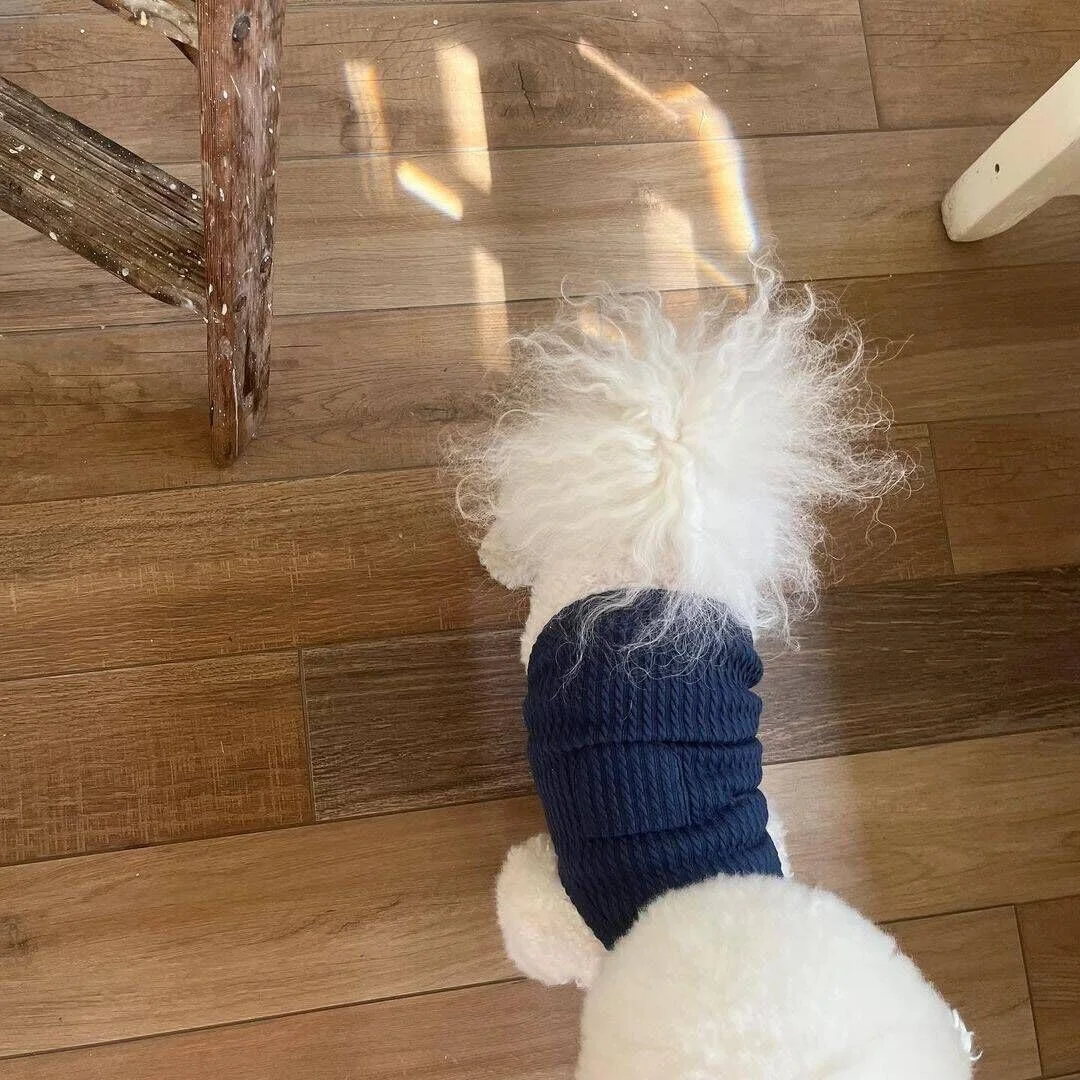 جلیقه سگ و گربه suxuMhao، جلیقه تنفسی حیوانات خانگی، لباس سگ توله سگ، کت و شلوار برای سگ ها و گربه های کوچک و متوسط، XS، A78