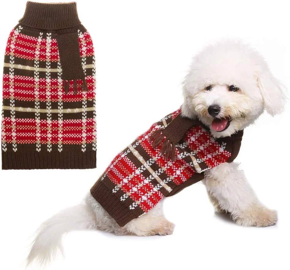 لباس زمستانی سگ - کت زیبای سگ برای روزهای سرد پاییز و زمستان