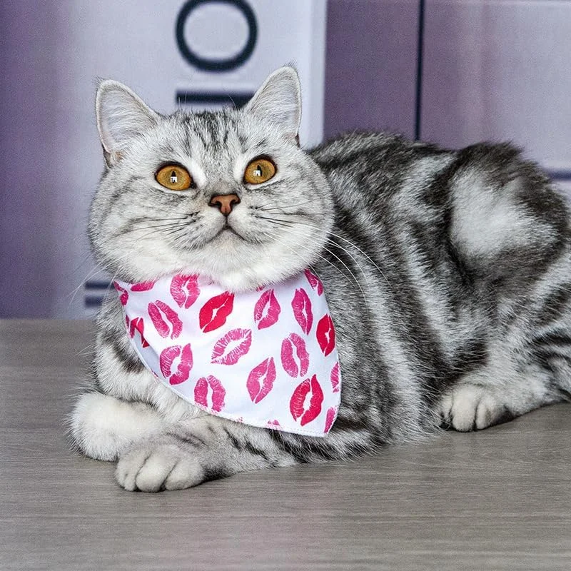 دستمال گردن سگ suxuMhao، 1 عدد، ترکیبی از پلی‌استر سبک و زود خشک‌شونده، دستمال سر مثلثی با طرح زیبا، دستمال گردن قابل تنظیم برای سگ‌های متوسط و بزرگ، هدیه توله سگ، M، A16