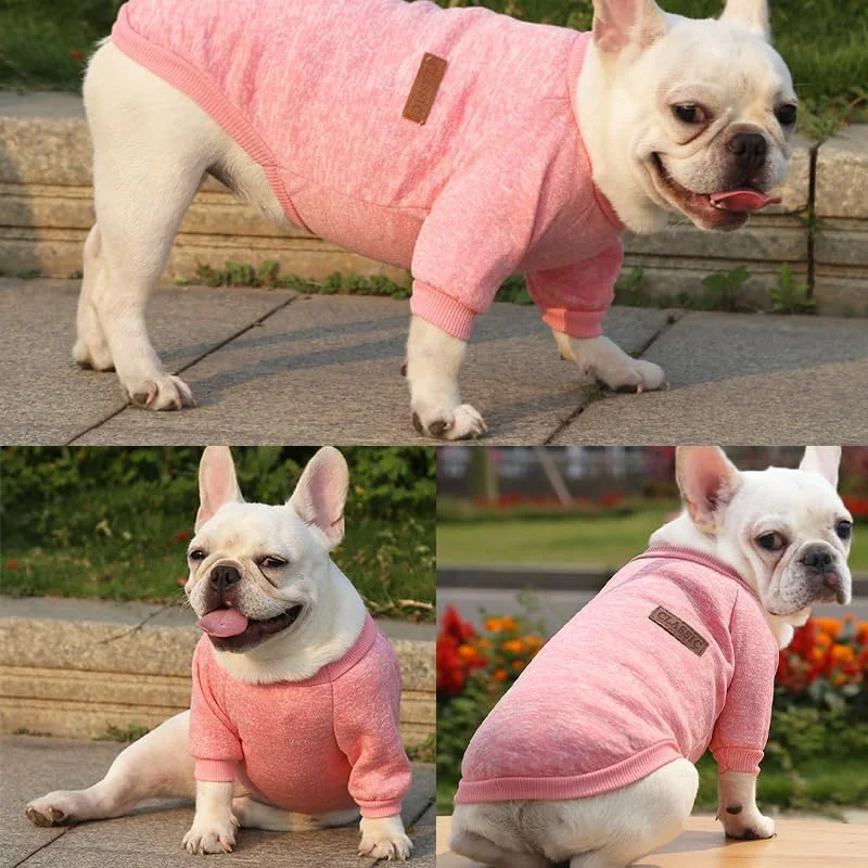 لباس سگ، لباس نرم توله سگ، لباس گرم زمستانی برای سگ ها، مناسب برای سایزهای XS S M L XL XXL، لباس گربه - صورتی، راحت و دنج برای حیوانات خانگی کوچک (XXL) لباس سگ، لباس نرم توله سگ، لباس گرم زمستانی برای سگ ها، مناسب برای سایزهای XS S M L XL XXL، لباس گربه - صورتی، راحت و دنج برای حیوانات خانگی کوچک (XXL)