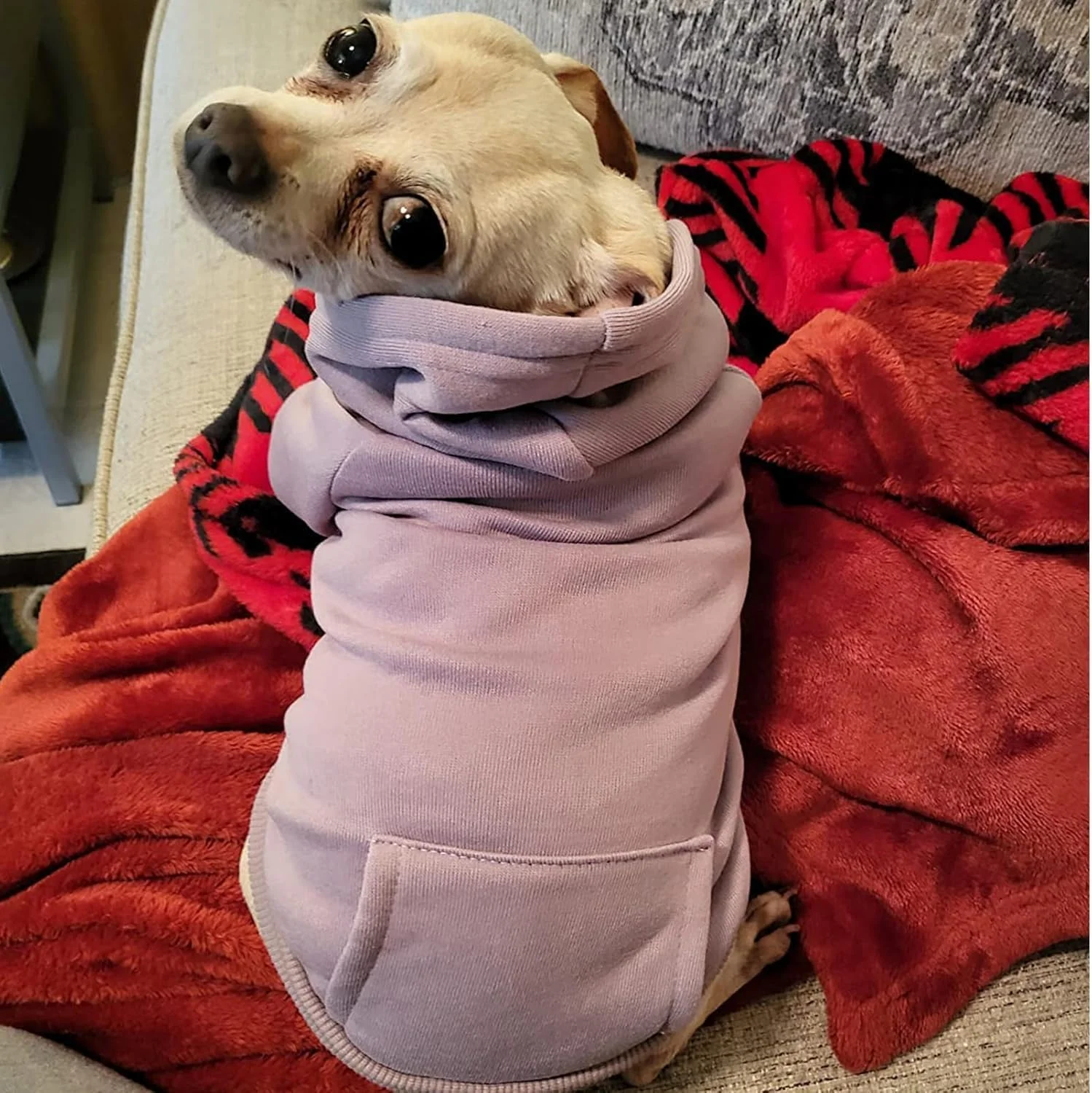 هودی سگ زمستانی با جیب و کلاه، لباس گرم سگ برای سگ های کوچک، کت و لباس توله سگ گربه (بنفش روشن بزرگ)