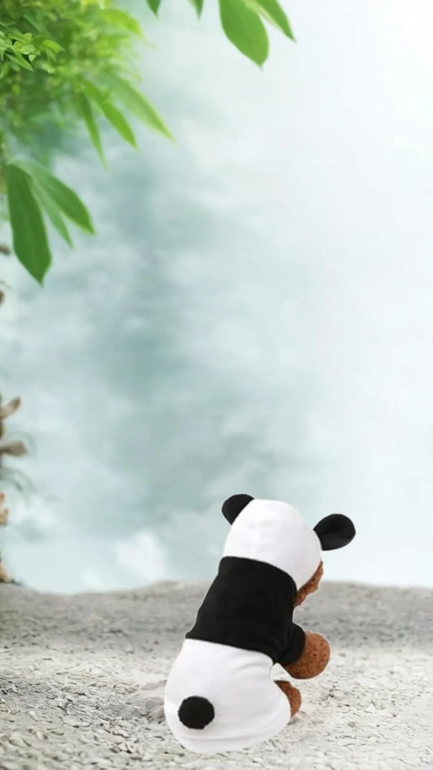 ست لباس سگ دو تکه طرح پاندا - لباس بامزه حیوانات خانگی با هودی - لباس زمستانی تزئینی سگ سایز XS