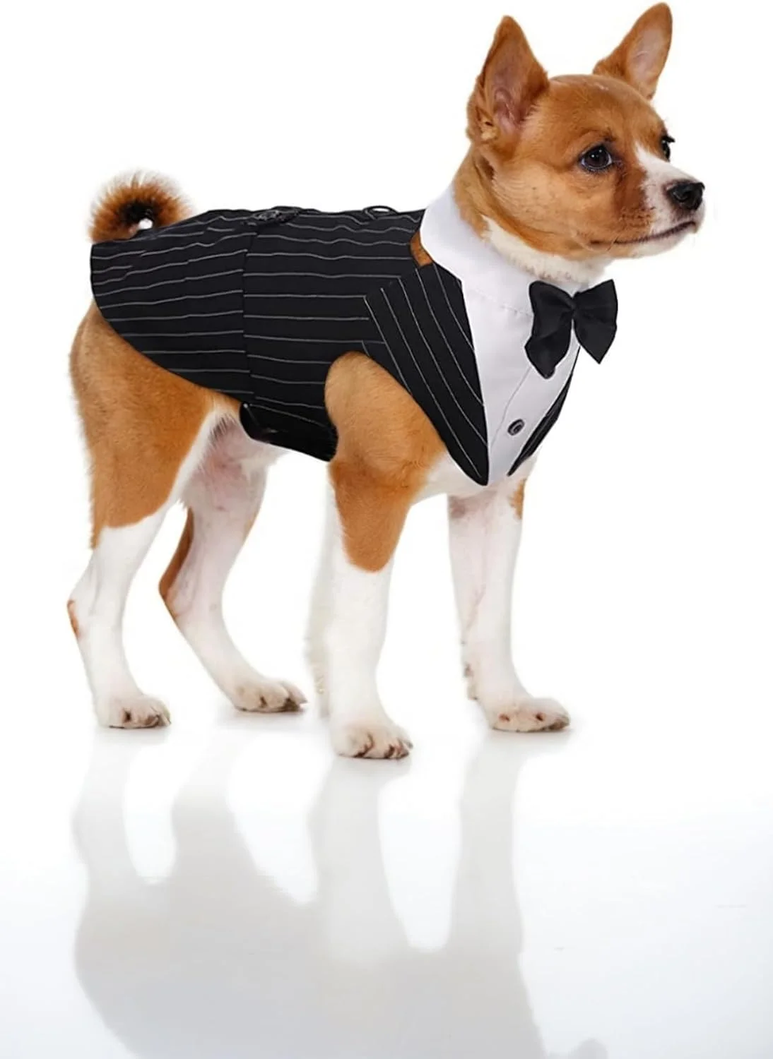ست تاکسیدو سگ Sweet Seven - کت و شلوار مجلسی با پاپیون برای سگ های بزرگ و متوسط (سایز L)