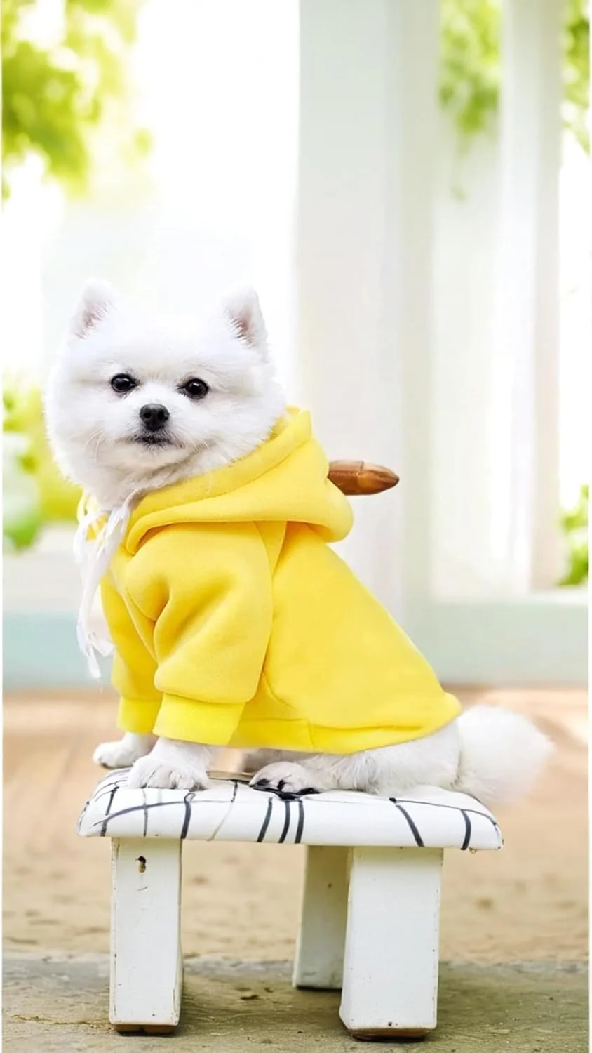 هودی فانتزی حیوانات خانگی - ژاکت گرم طرح هویج برای سگ و گربه، سویشرت مناسب هوای سرد زرد رنگ (بزرگ)