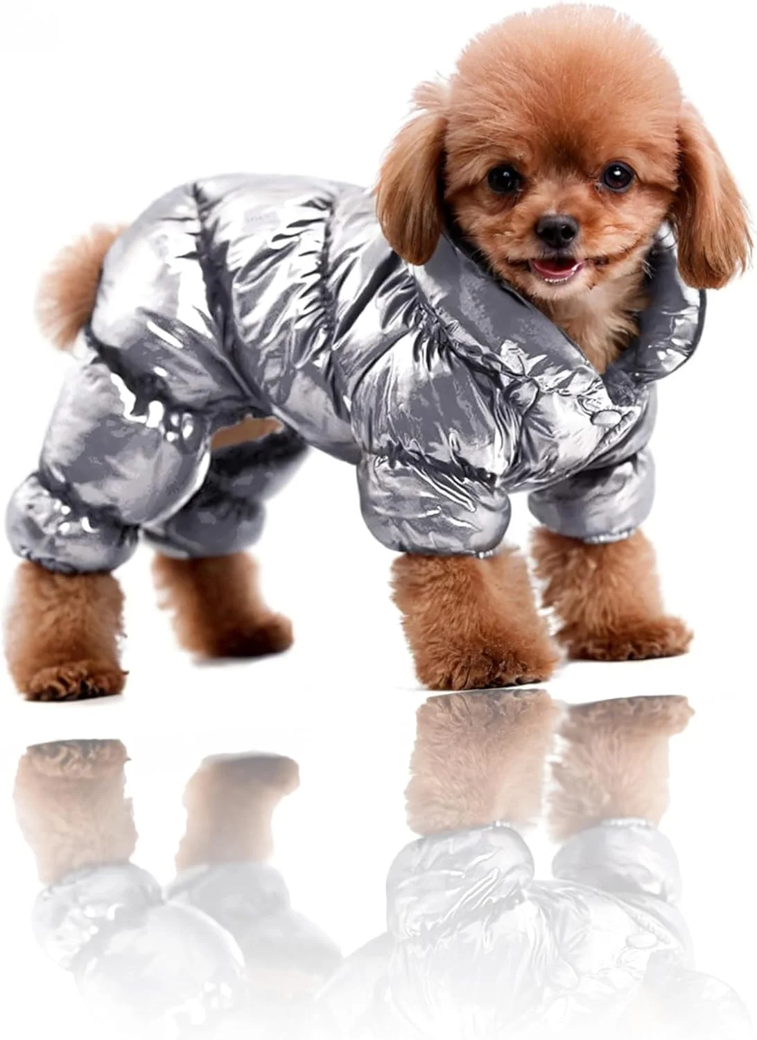 کت گرم زمستانی سگ با پوشش ضدآب - جلیقه پددار سبک وزن مناسب سگ های کوچک، لباس ضد باد مناسب آب و هوای سرد (سایز L)