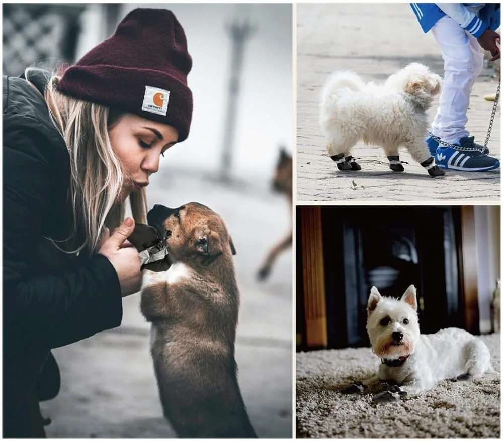 کفش سگ، کفش محافظ سگ با نوارهای بازتابنده - چکمه های ضد لغزش برای سگ های کوچک تا متوسط ​​و توله سگ ها - مجموعه 4 عددی - محافظ ایده آل پنجه برای پیاده روهای داغ (سایز 5 مشکی)