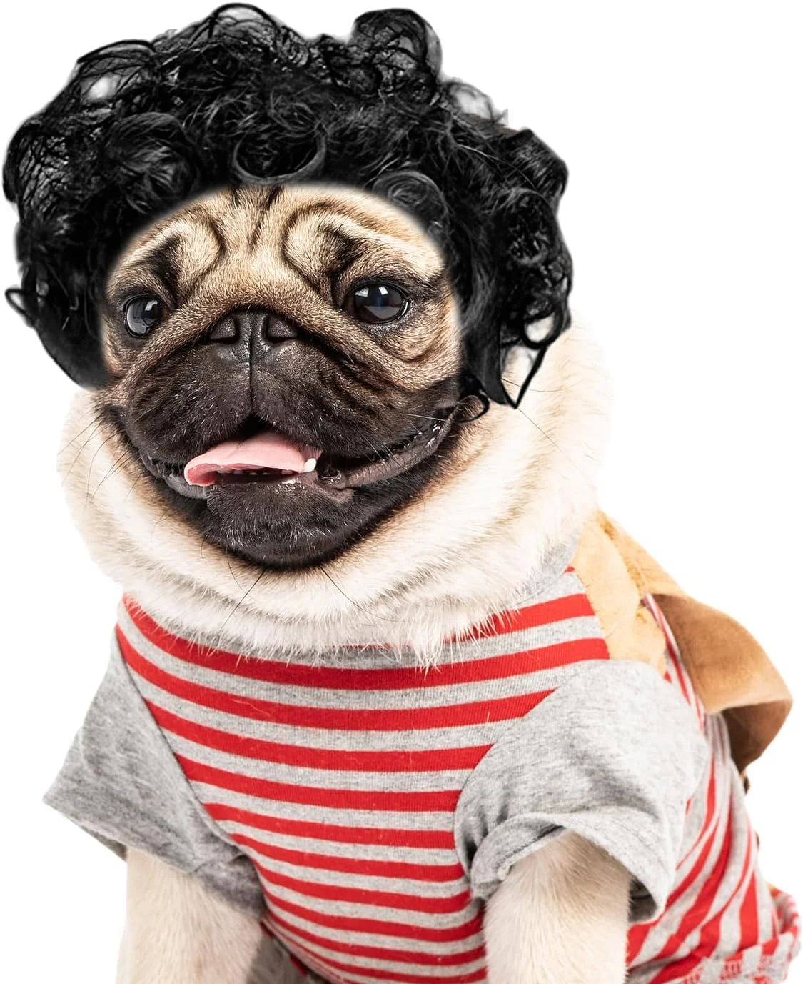 کلاه گیس بو بو برای سگ خانگی، کلاه گیس مصنوعی برای تزئین سر، مناسب برای هالووین، جشن کریسمس، مدل عمومی مشکی بو بو