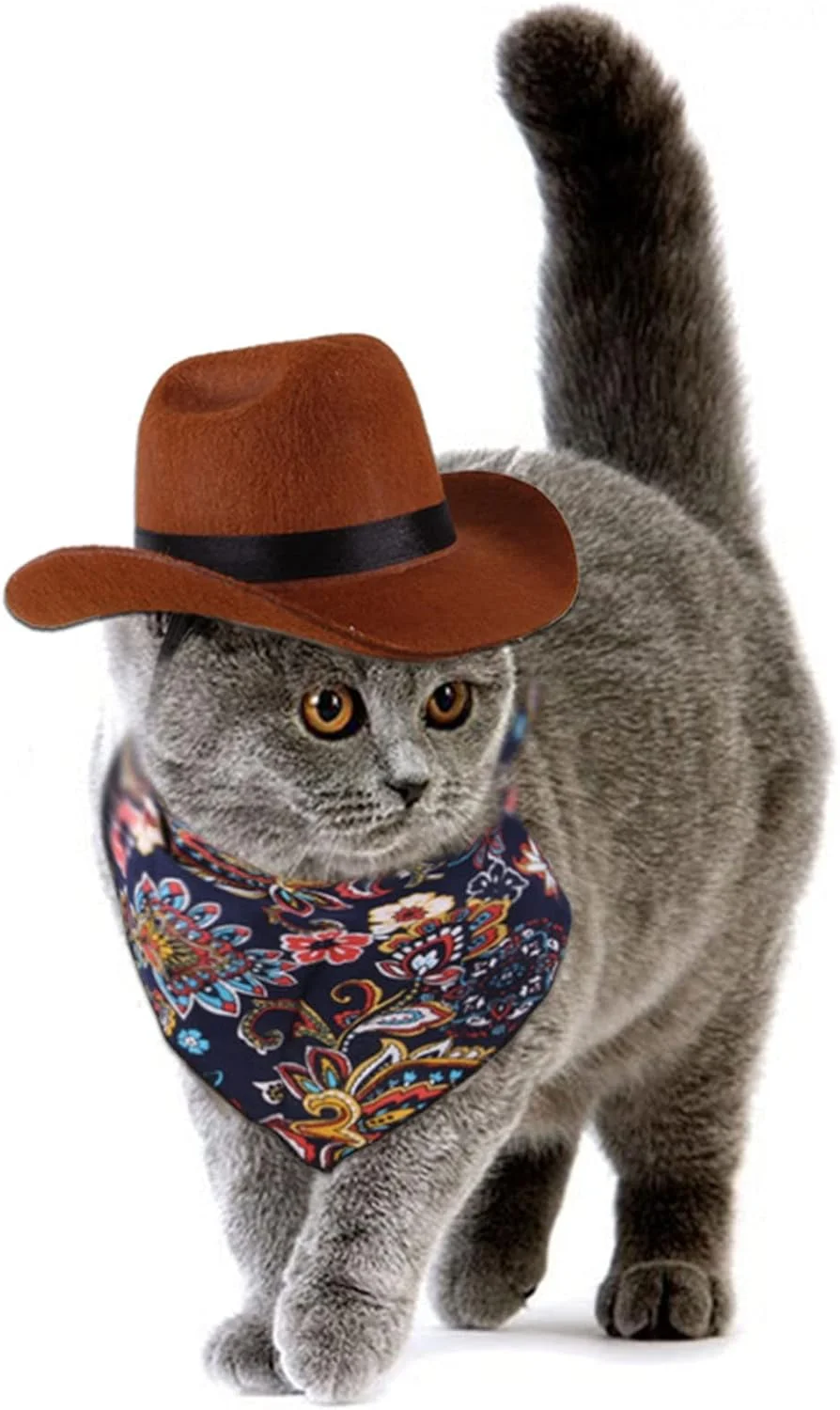 کلاه حیوانات خانگی SYOSI، کلاه گاوچران سگ، دستمال سر و روسری، لوازم جانبی لباس گاوچران حیوانات خانگی، ست کلاه توله سگ گربه برای مهمانی، جشنواره و استفاده روزانه