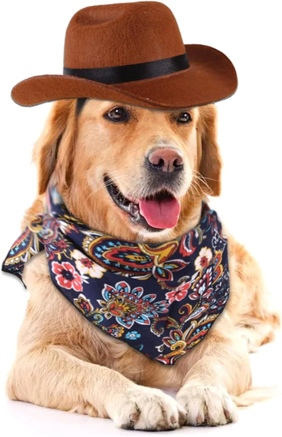 کلاه حیوانات خانگی SYOSI، کلاه گاوچران سگ، دستمال سر و روسری، لوازم جانبی لباس گاوچران حیوانات خانگی، ست کلاه توله سگ گربه برای مهمانی، جشنواره و استفاده روزانه