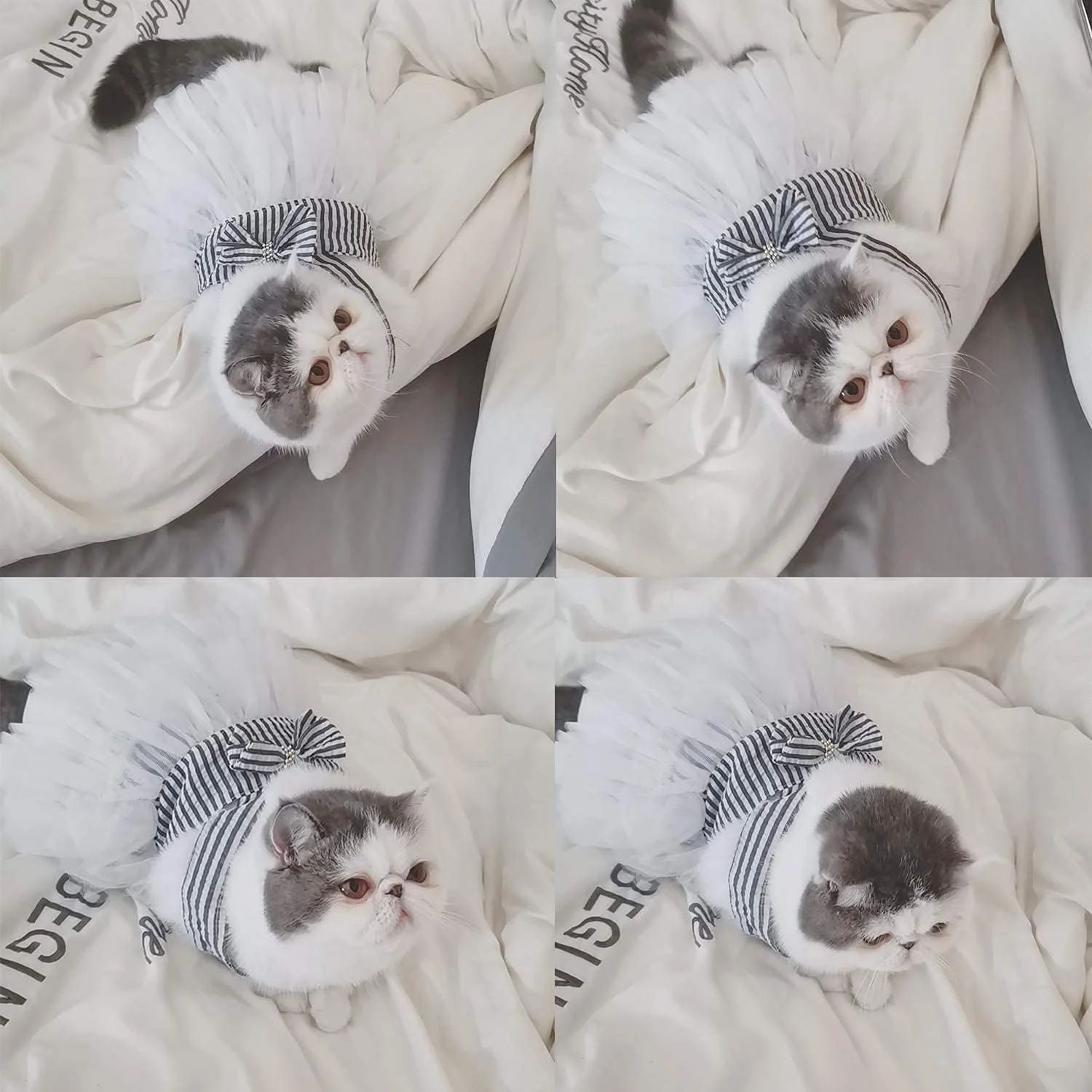 لباس توری راه راه زیبا با دامن توتو برای سگ ها و گربه های کوچک، دامن جلیقه پاپیونی، لوازم پوشاک سگ (بزرگ)